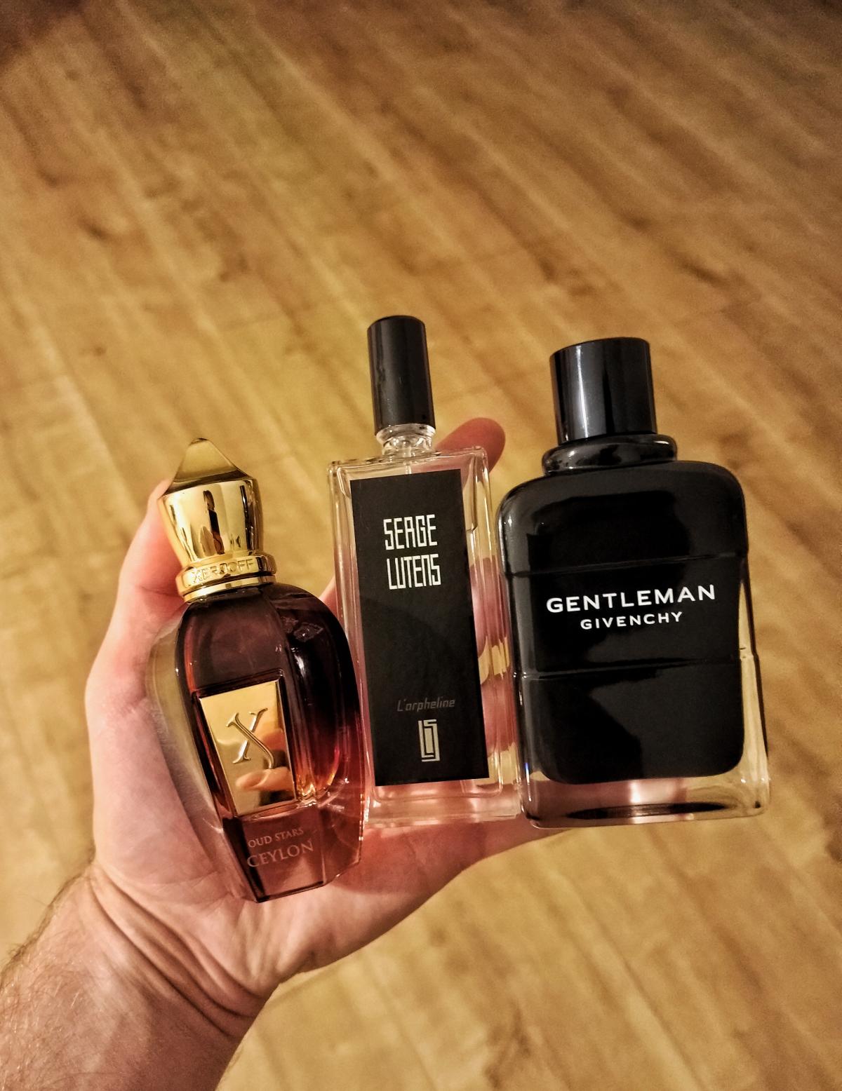 عطر ادکلن سیلان زرژوف - Ceylon Xerjoff - بررسی، قیمت و خرید