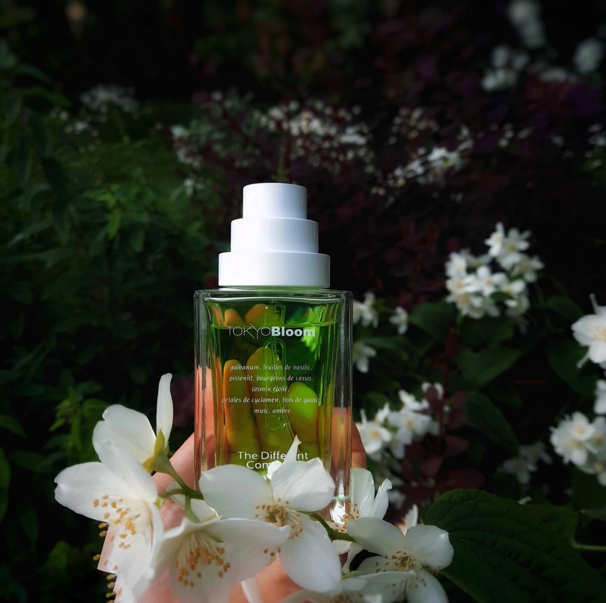 عطر ادکلن توکیو بلوم د دفرنت کامپنی - Tokyo Bloom The Different Company - بررسی، قیمت و خرید
