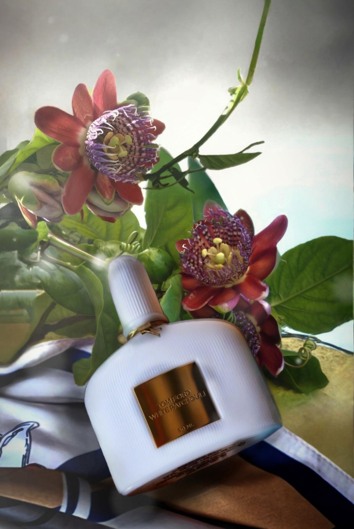 عطر ادکلن وایت پچولی تام فورد - White Patchouli Tom Ford - بررسی، قیمت و خرید