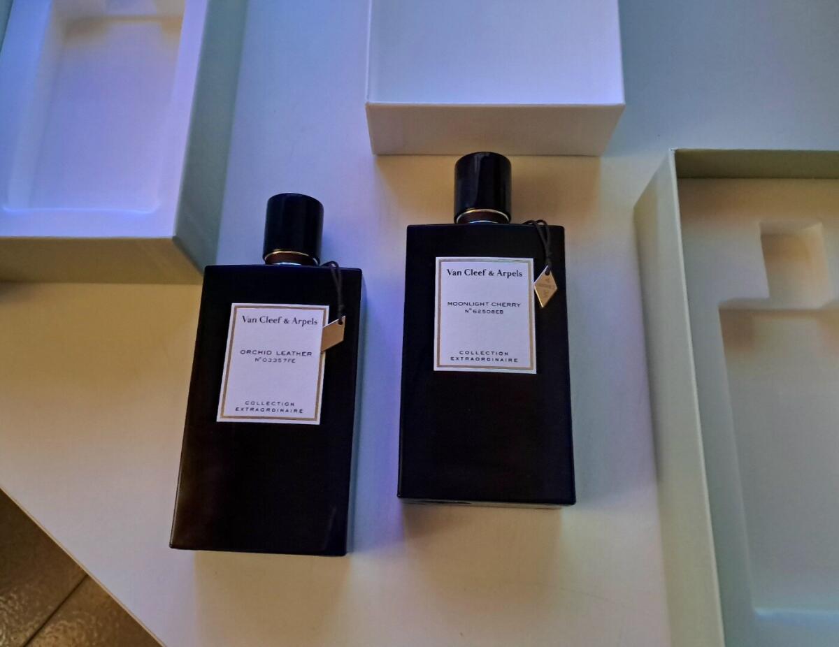 عطر ادکلن ارکید لدر ون کلیف اند آرپلز - Orchid Leather Van Cleef & Arpels - بررسی، قیمت و خرید