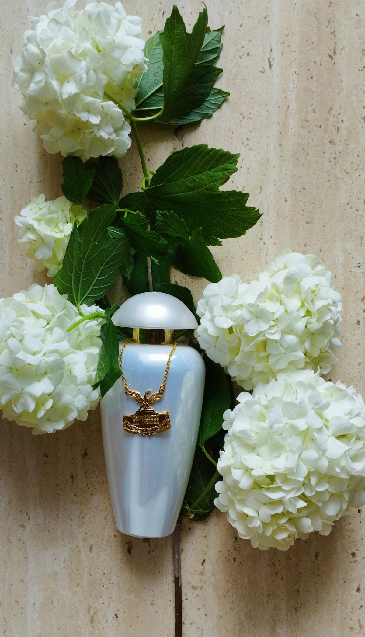 عطر ادکلن مای پرلز مرچنت آو ونیز - My Pearls The Merchant of Venice - بررسی، قیمت و خرید