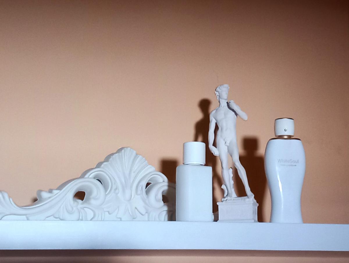 عطر ادکلن وایت سول تد لاپیدوس - White Soul Ted Lapidus - بررسی، قیمت و خرید