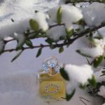عطر ادکلن لیو گِرلَن - Liu Guerlain - بررسی، قیمت و خرید