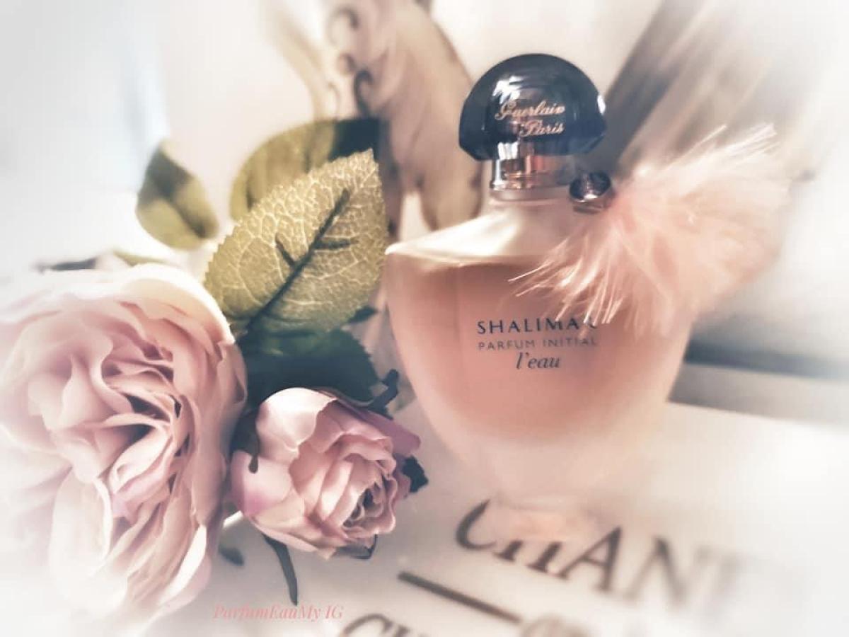 عطر ادکلن گرلن شالیمار پارفوم اینیشیال لئو سی سنشوال گرلن - Guerlain Shalimar Parfum Initial L'Eau Si Sensuelle Guerlain - بررسی، قیمت و خرید