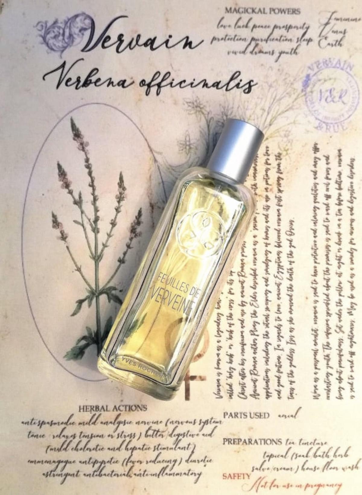 عطر ادکلن فوی د ورون ایو روشه - Feuilles de Verveine Yves Rocher - بررسی، قیمت و خرید