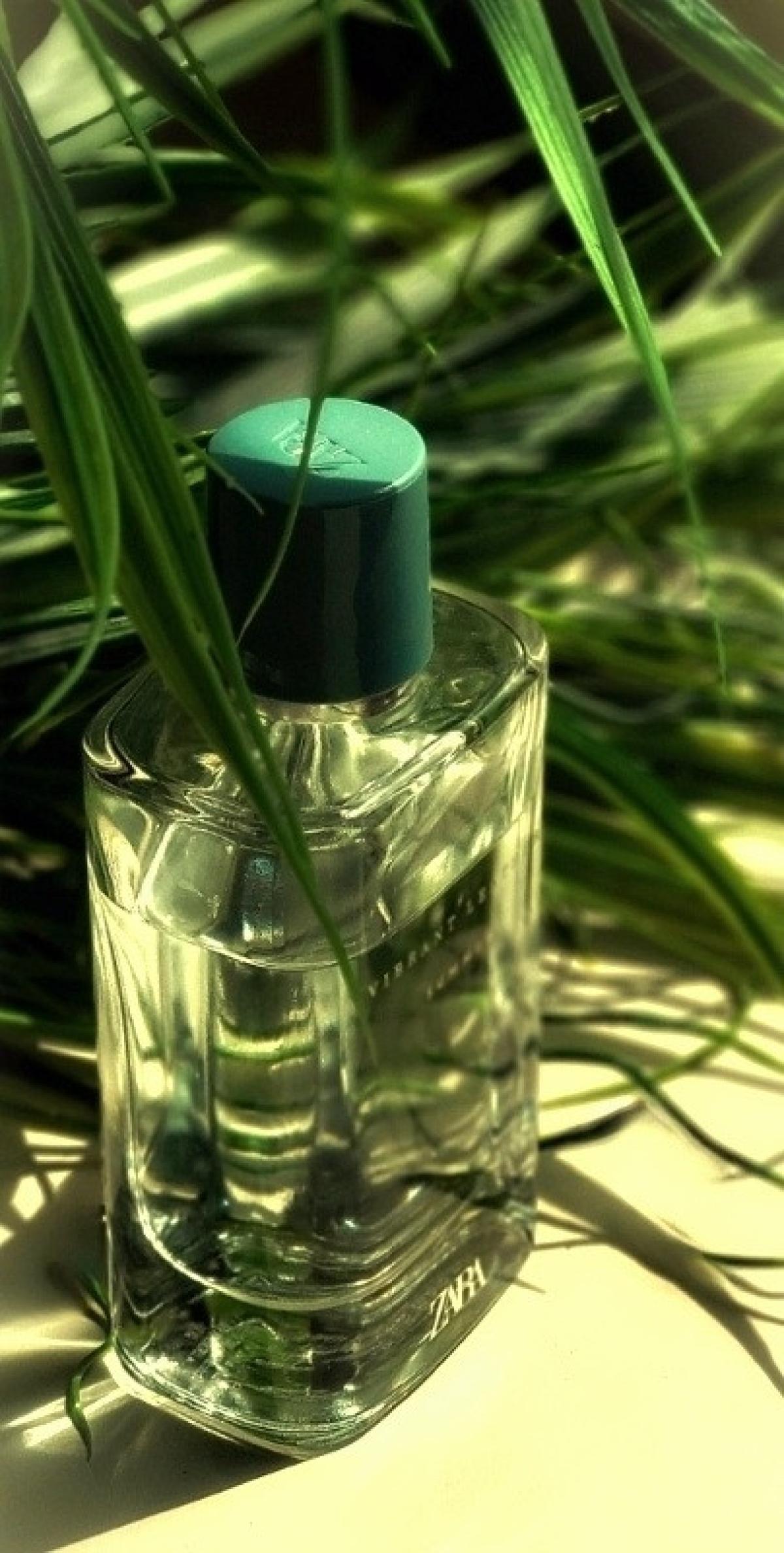 عطر ادکلن وایبرنت لدر سامر زارا - Vibrant Leather Summer Zara - بررسی، قیمت و خرید