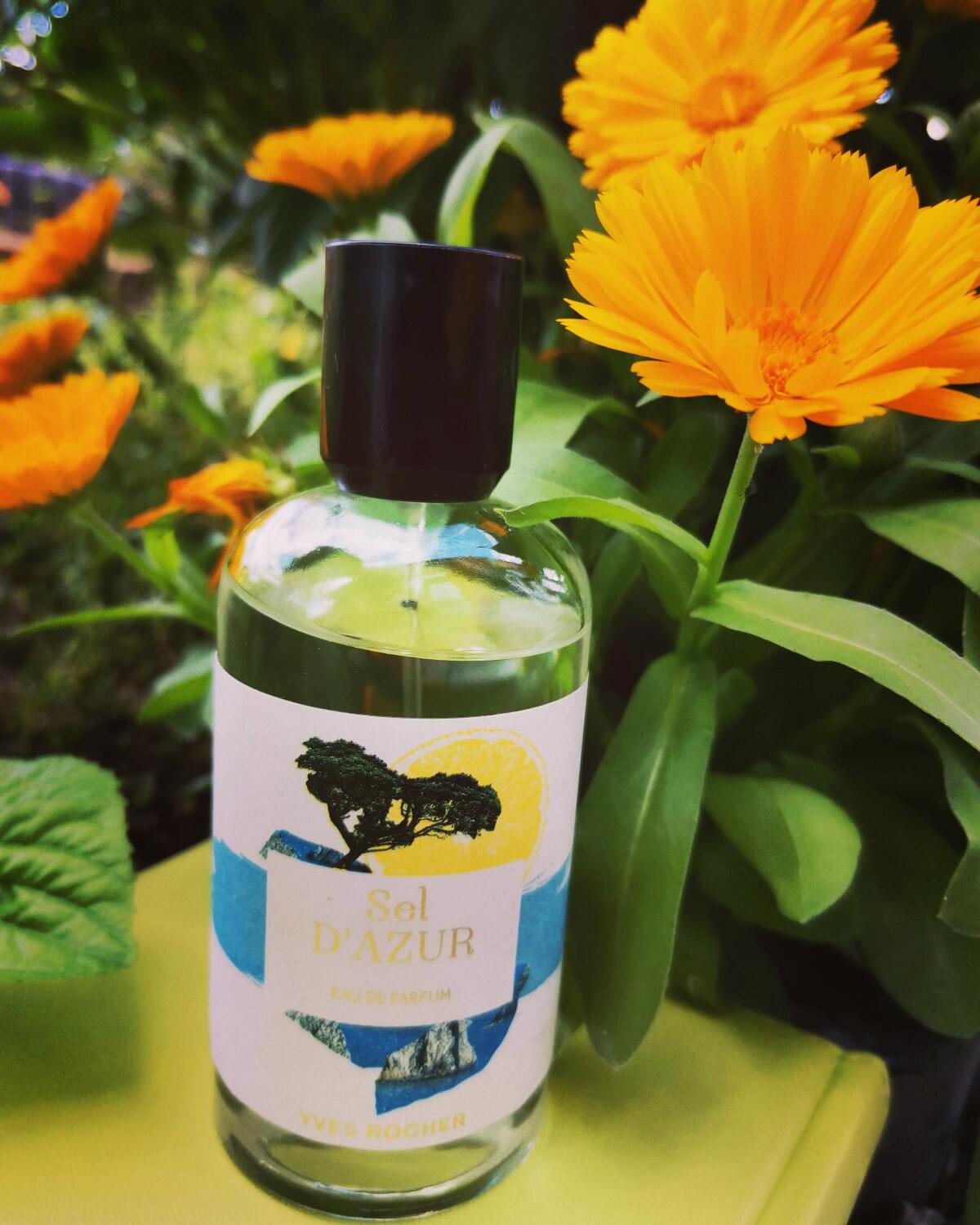 عطر ادکلن سل د ازور ایو روشه - Sel d'Azur Yves Rocher - بررسی، قیمت و خرید