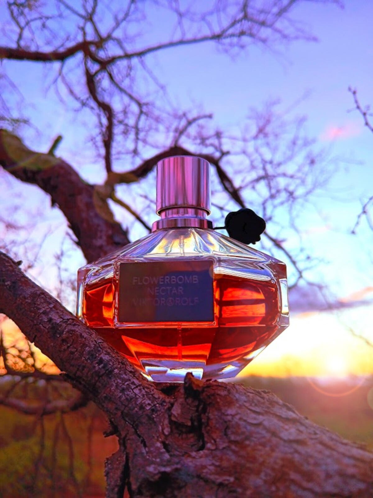 عطر ادکلن فلاوربامب نکتار ویکتور اند رولف - Flowerbomb Nectar Viktor&Rolf - بررسی، قیمت و خرید