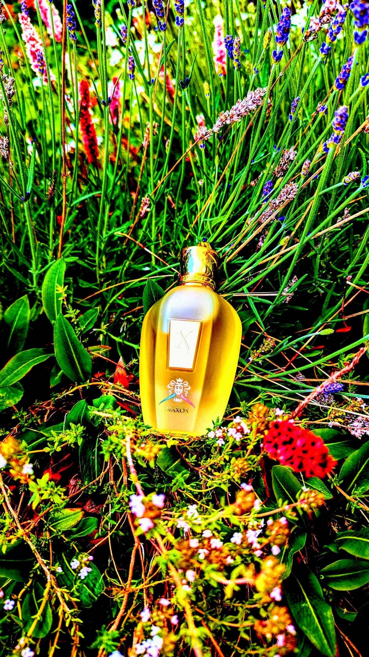 عطر ادکلن ایکس جی ۱۸۶۱ ناکس زرژوف - XJ 1861 Naxos Xerjoff - بررسی، قیمت و خرید