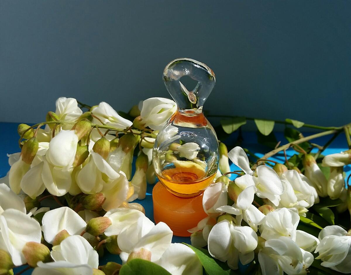 عطر ادکلن فودل تد لاپیدوس - Fou D'Elle Ted Lapidus - بررسی، قیمت و خرید