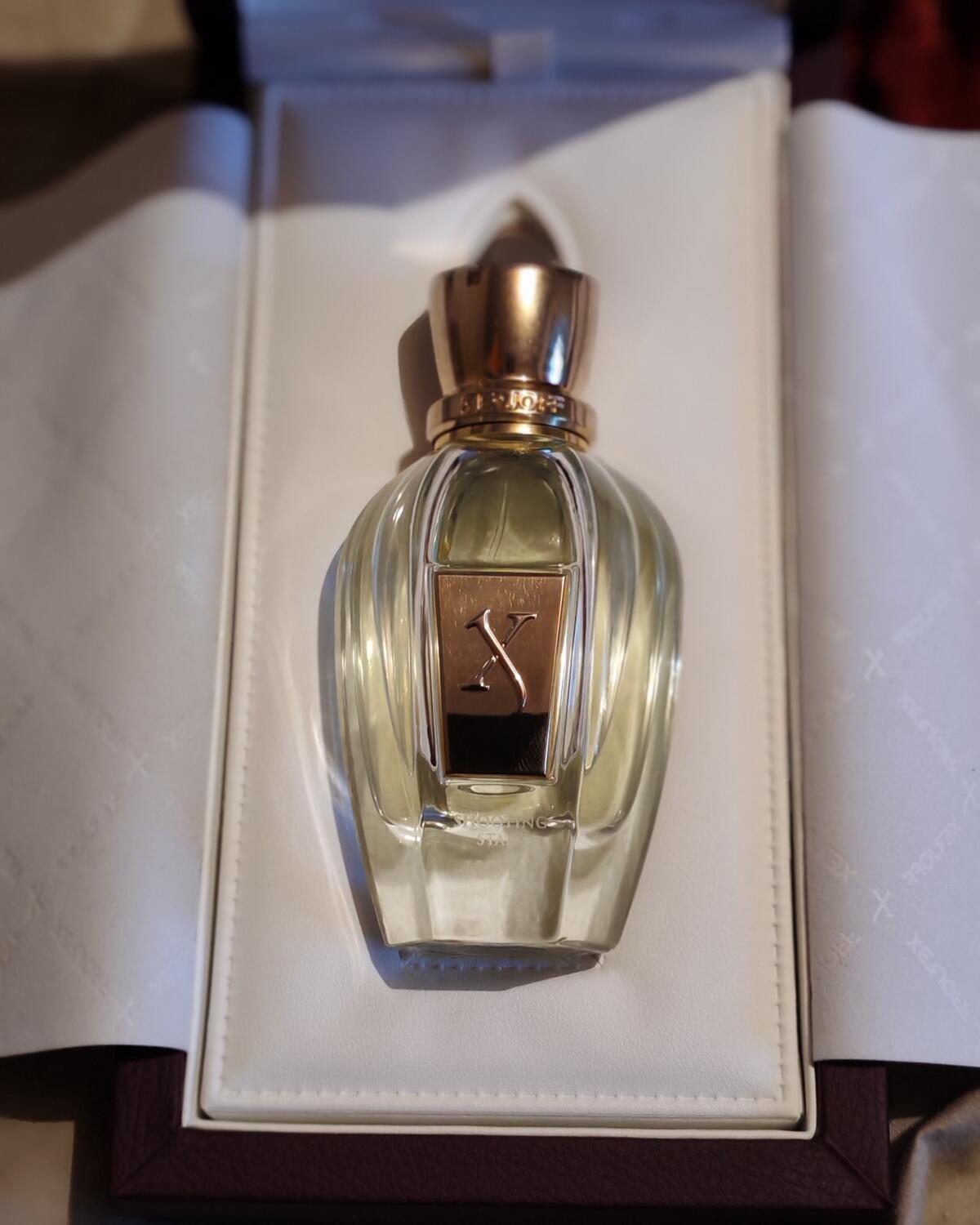 عطر ادکلن کوبه زرژف - Kobe Xerjoff - بررسی، قیمت و خرید