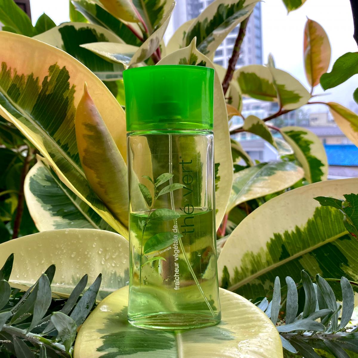 عطر ادکلن فریشور وگتال ته ورت ایو روشه - Fraicheur Vegetale The Vert Yves Rocher - بررسی، قیمت و خرید