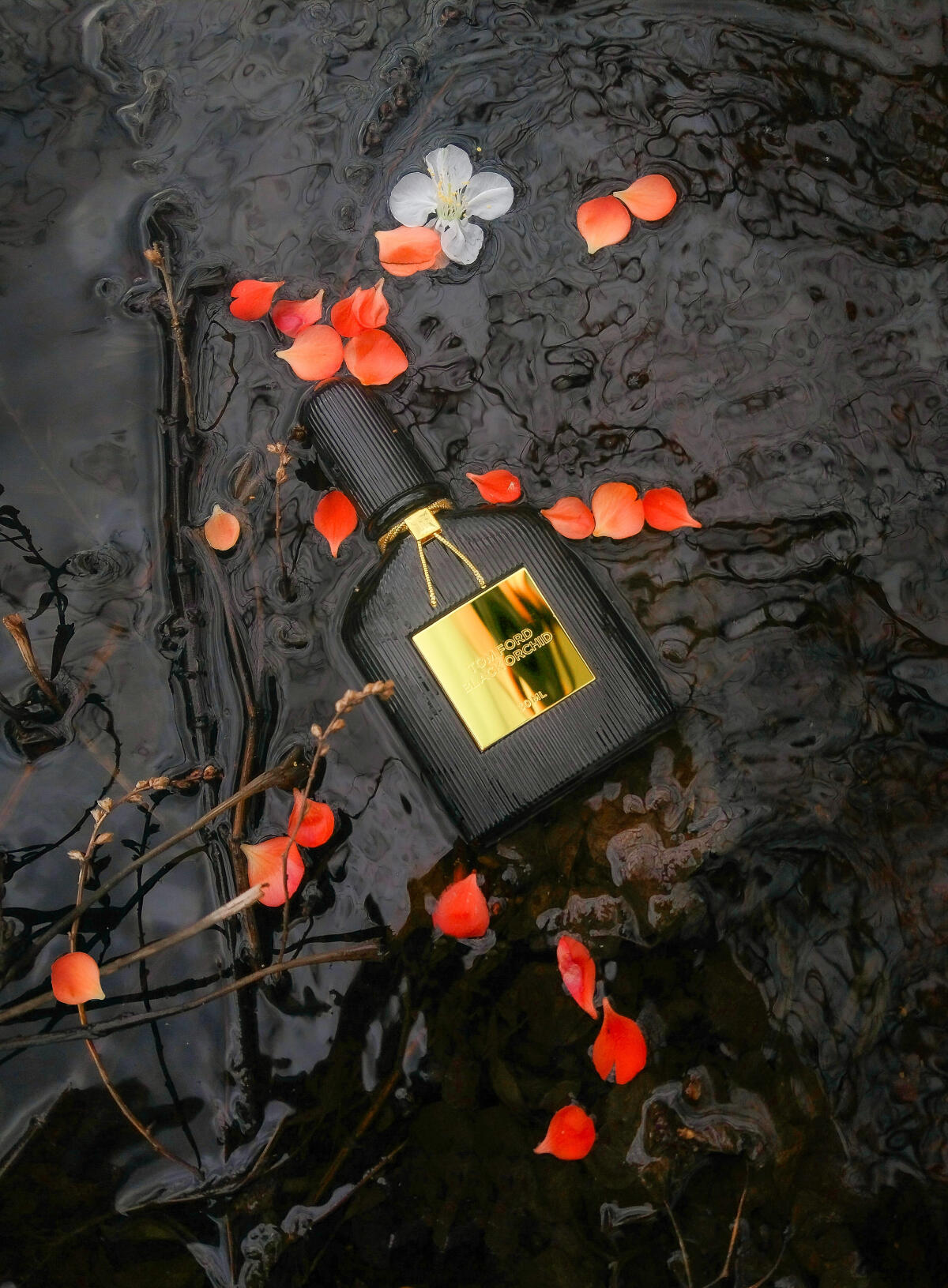 عطر ادکلن بِلَک اُرکید تام فورد - Black Orchid Tom Ford - بررسی، قیمت و خرید