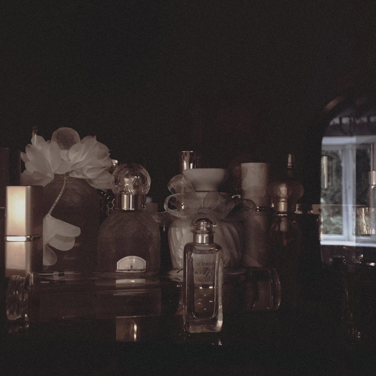 عطر ادکلن یوجی یوجی یاماموتو - Yohji Yohji Yamamoto - بررسی، قیمت و خرید