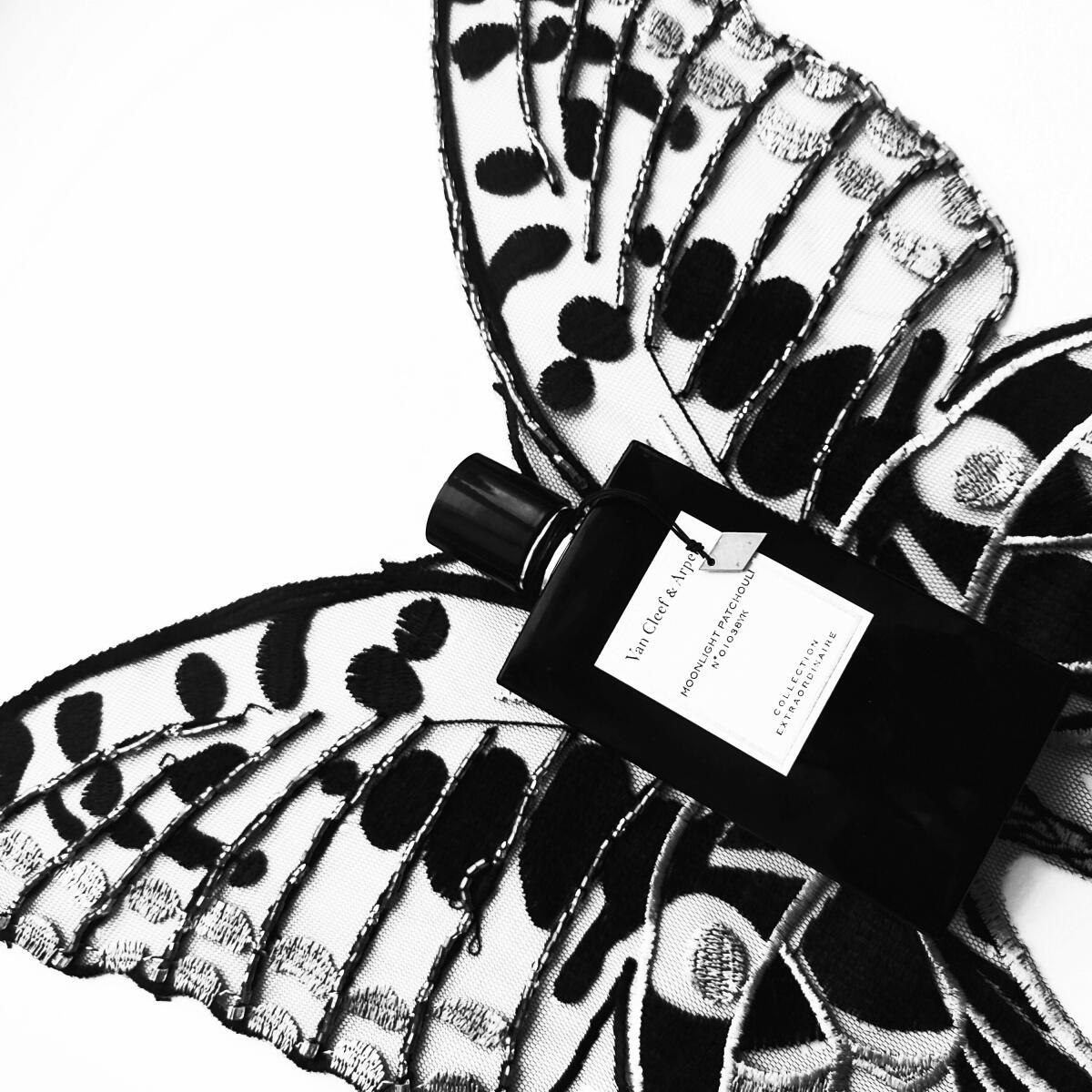 عطر ادکلن مون‌لایت پچولی ون کلیف اند آرپلز - Moonlight Patchouli Van Cleef & Arpels - بررسی، قیمت و خرید