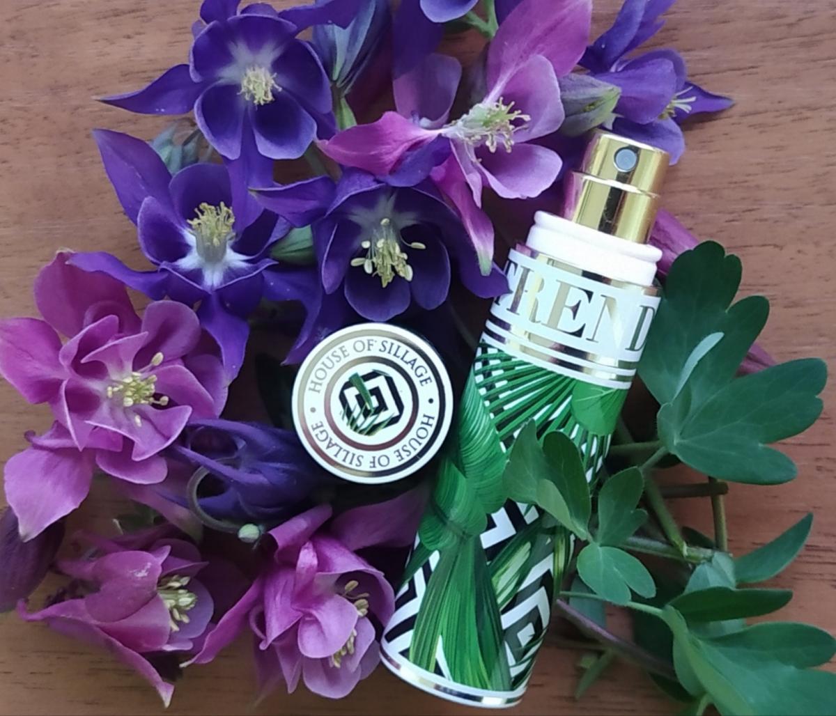 عطر ادکلن نو فایو تروپیکال جانگل د ترند بای هاوس آو سیلیج - No. 5 Tropical Jungle The Trend by House of Sillage - بررسی، قیمت و خرید