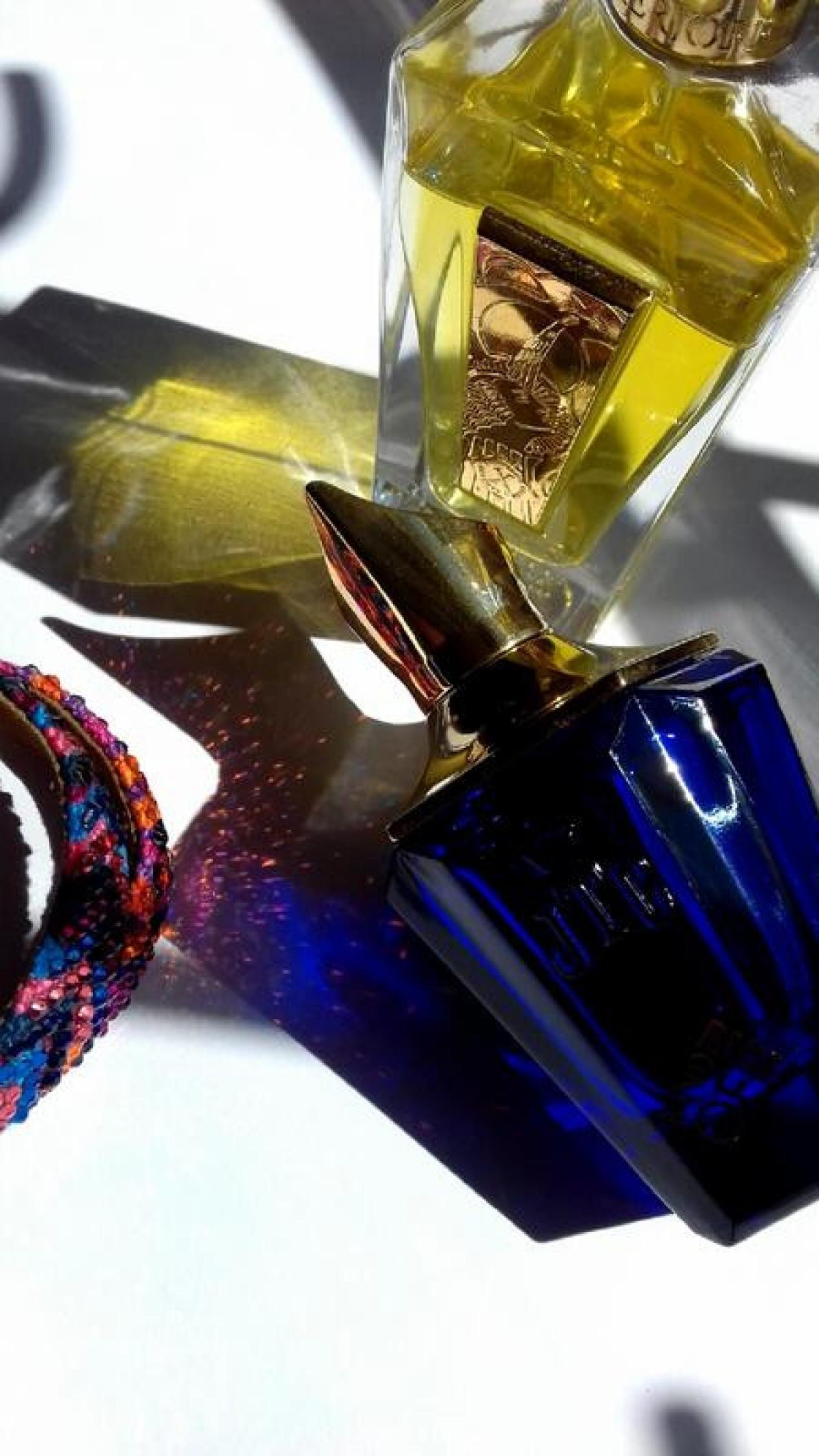 عطر ادکلن اسکل زرژاف - Esquel Xerjoff - بررسی، قیمت و خرید