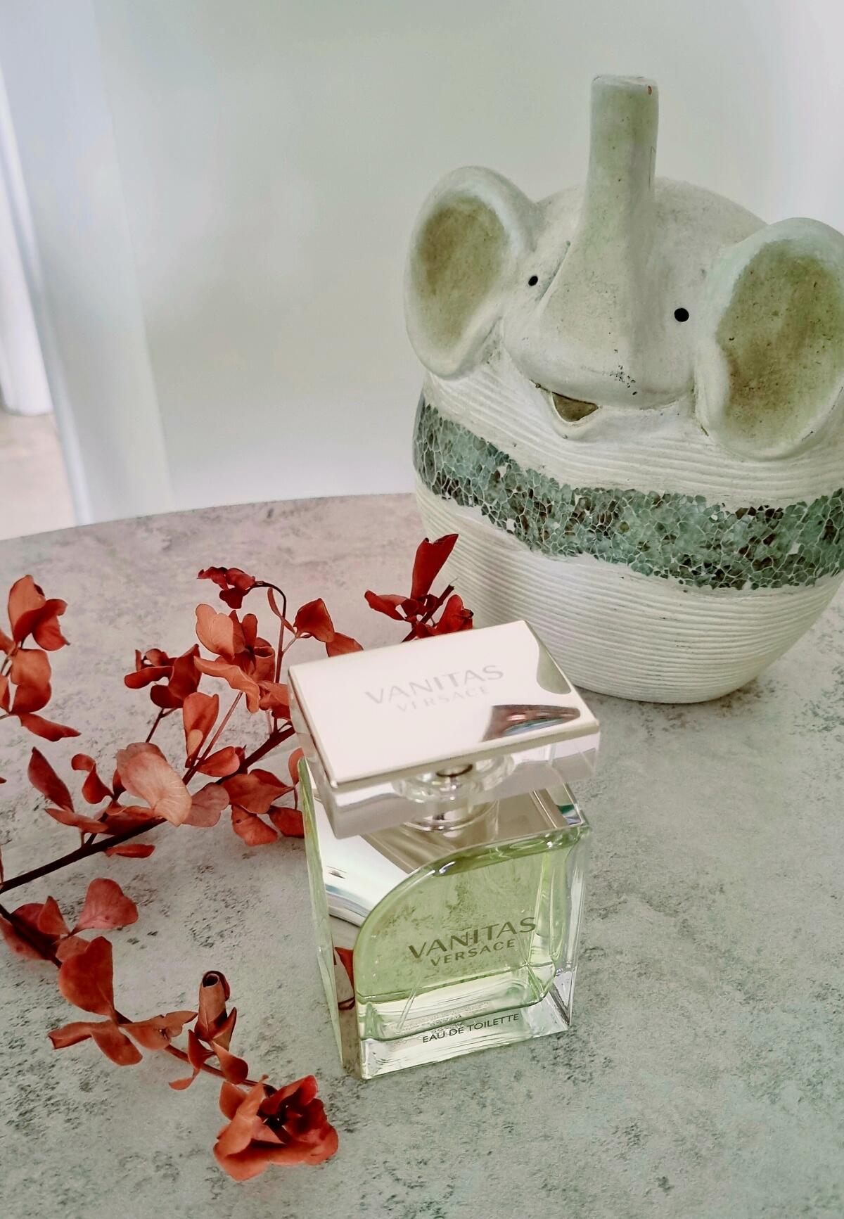 عطر ادکلن ونیتاس او دو تویلت ورساچه - Vanitas Eau de Toilette Versace - بررسی، قیمت و خرید