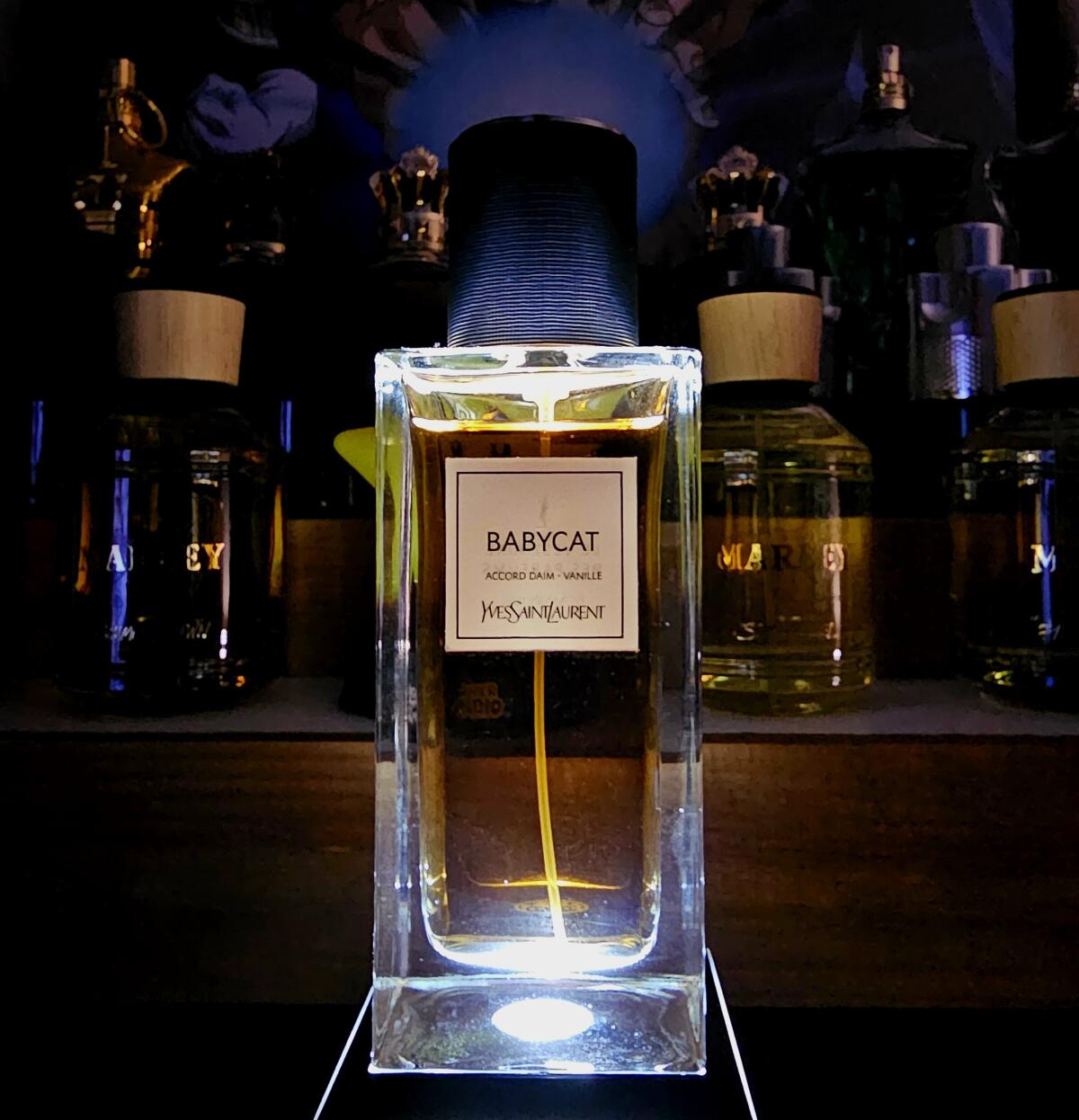 عطر ادکلن بیبیکت ایو سن لورن - Babycat Yves Saint Laurent - بررسی، قیمت و خرید