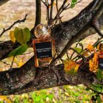 عطر ادکلن کریم فلاور هردال-تورسینگ - Cream Flower Herdahl-Thorsing - بررسی، قیمت و خرید