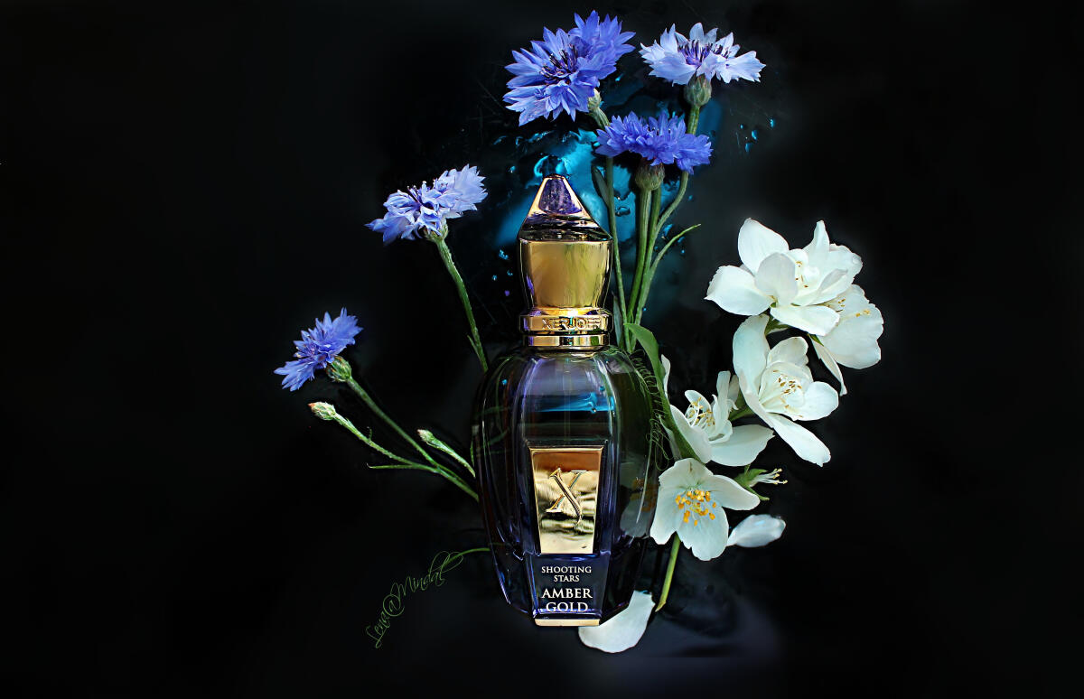 عطر ادکلن اَمبِر گُلد زرژوف - Amber Gold Xerjoff - بررسی، قیمت و خرید