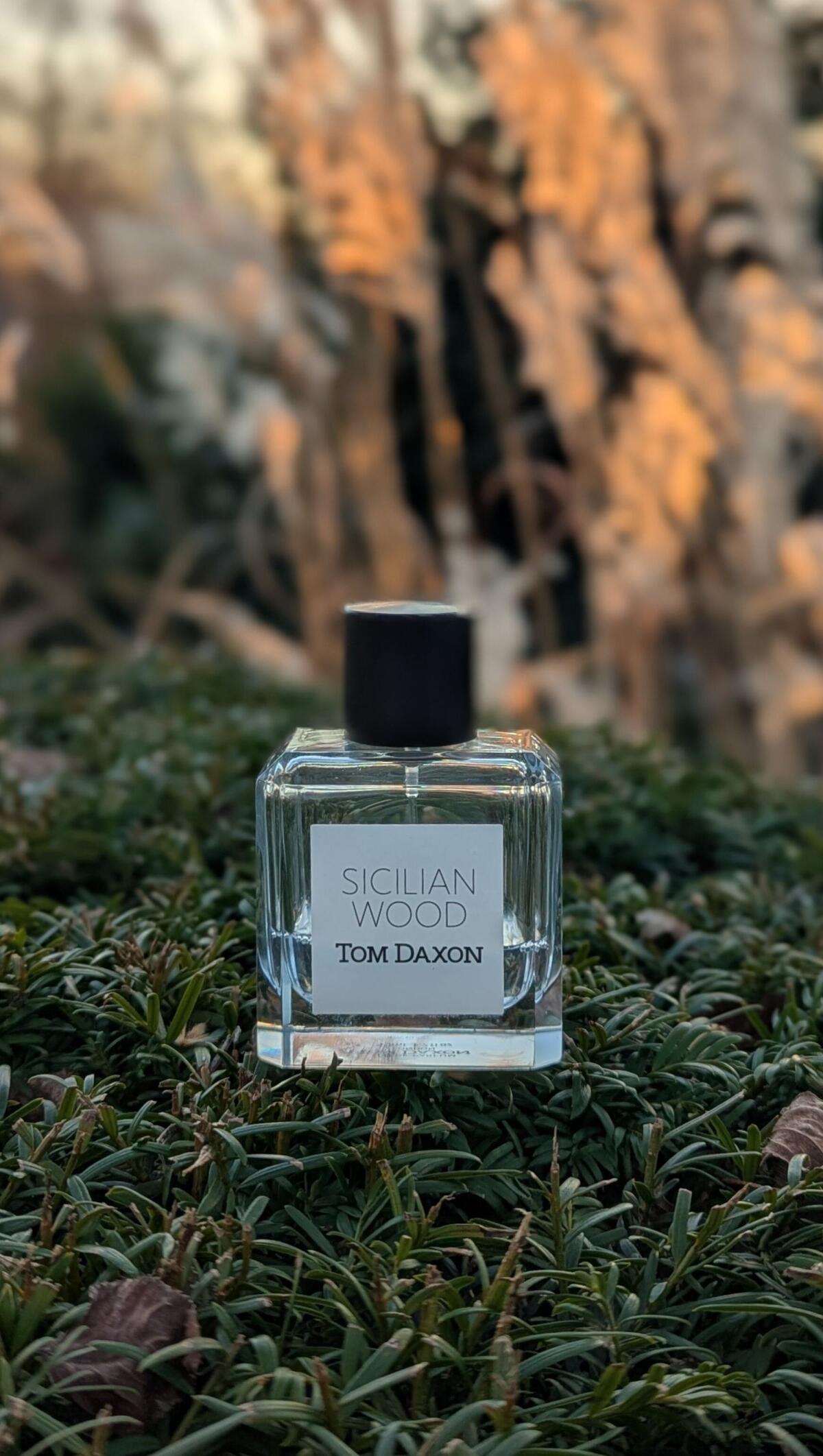 عطر ادکلن سیسیلیان وود تام داکسون - Sicilian Wood Tom Daxon - بررسی، قیمت و خرید