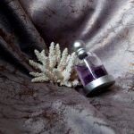 عطر ادکلن هالووین هالووین - Halloween Halloween - بررسی، قیمت و خرید