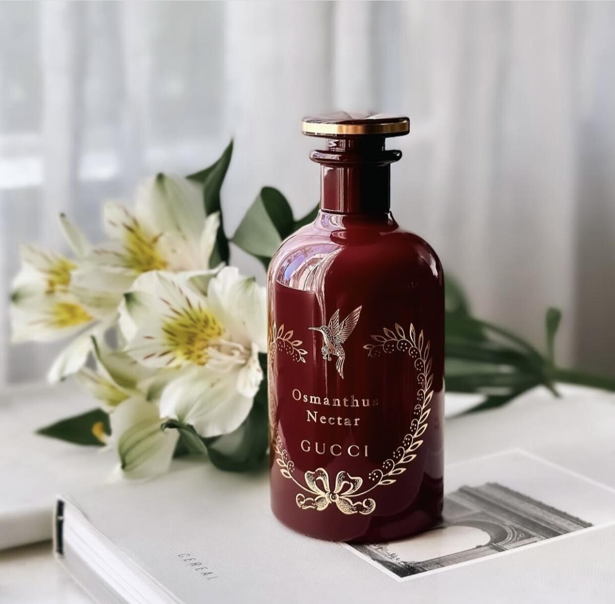 عطر ادکلن عثمانتوس نکتار گوچی - Osmanthus Nectar Gucci - بررسی، قیمت و خرید