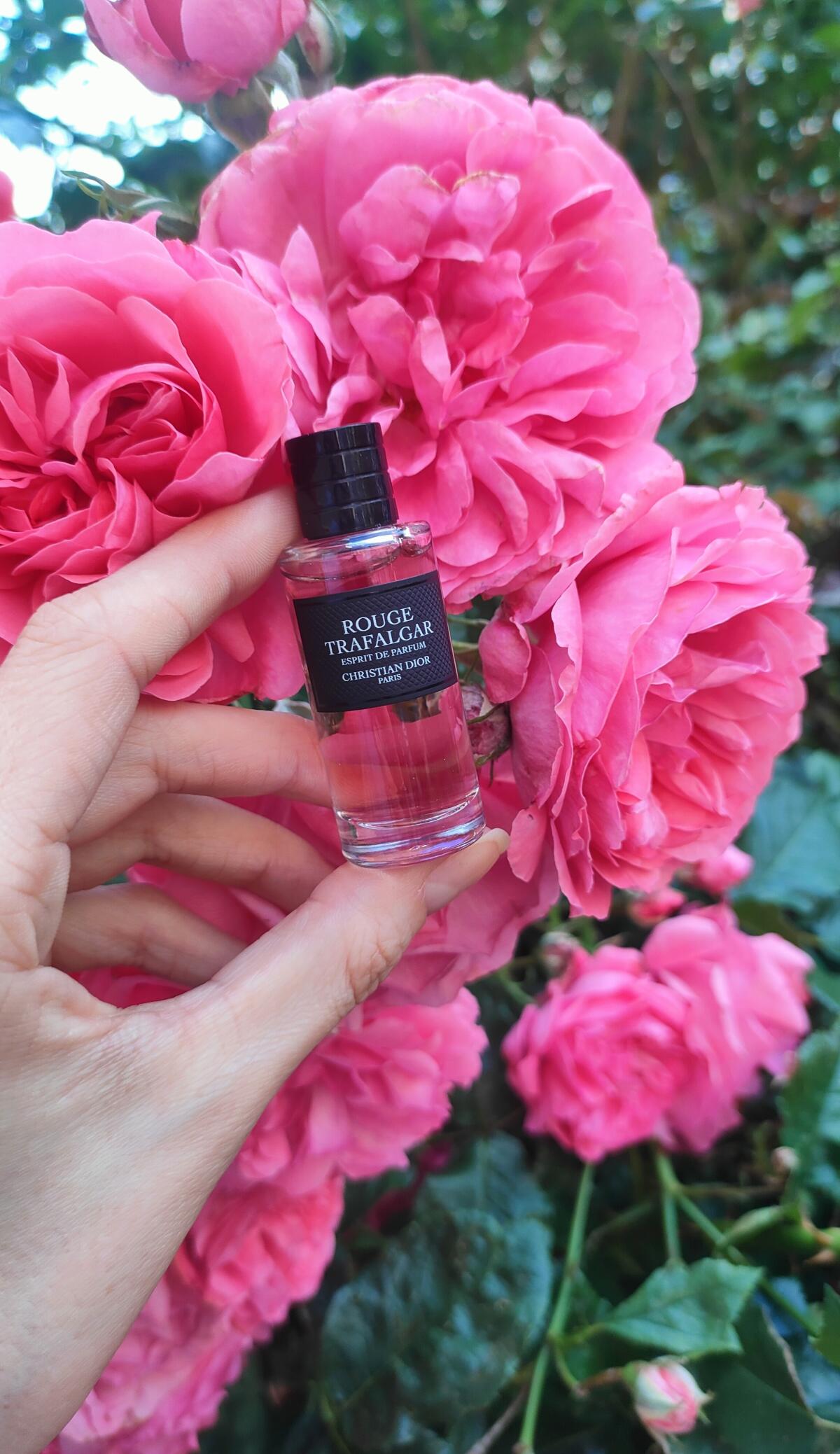 عطر ادکلن روژ ترافالگار اسپریت د پرفیوم دیور - Rouge Trafalgar Esprit De Parfum Dior - بررسی، قیمت و خرید
