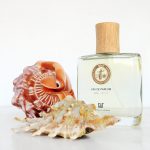 عطر ادکلن سوریا - بالی فیلیت - Surya - Bali Fiilit - بررسی، قیمت و خرید
