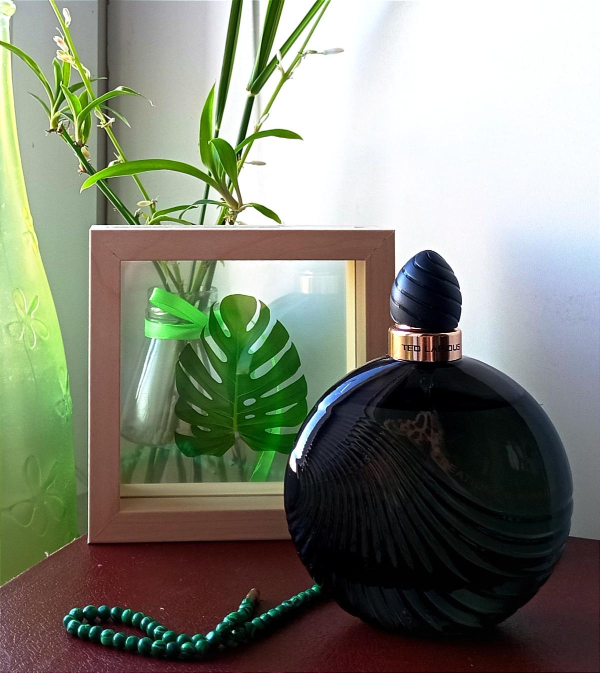 عطر ادکلن کریاسیون د می‌نوی تد لاپیدوس - Creation de Minuit Ted Lapidus - بررسی، قیمت و خرید