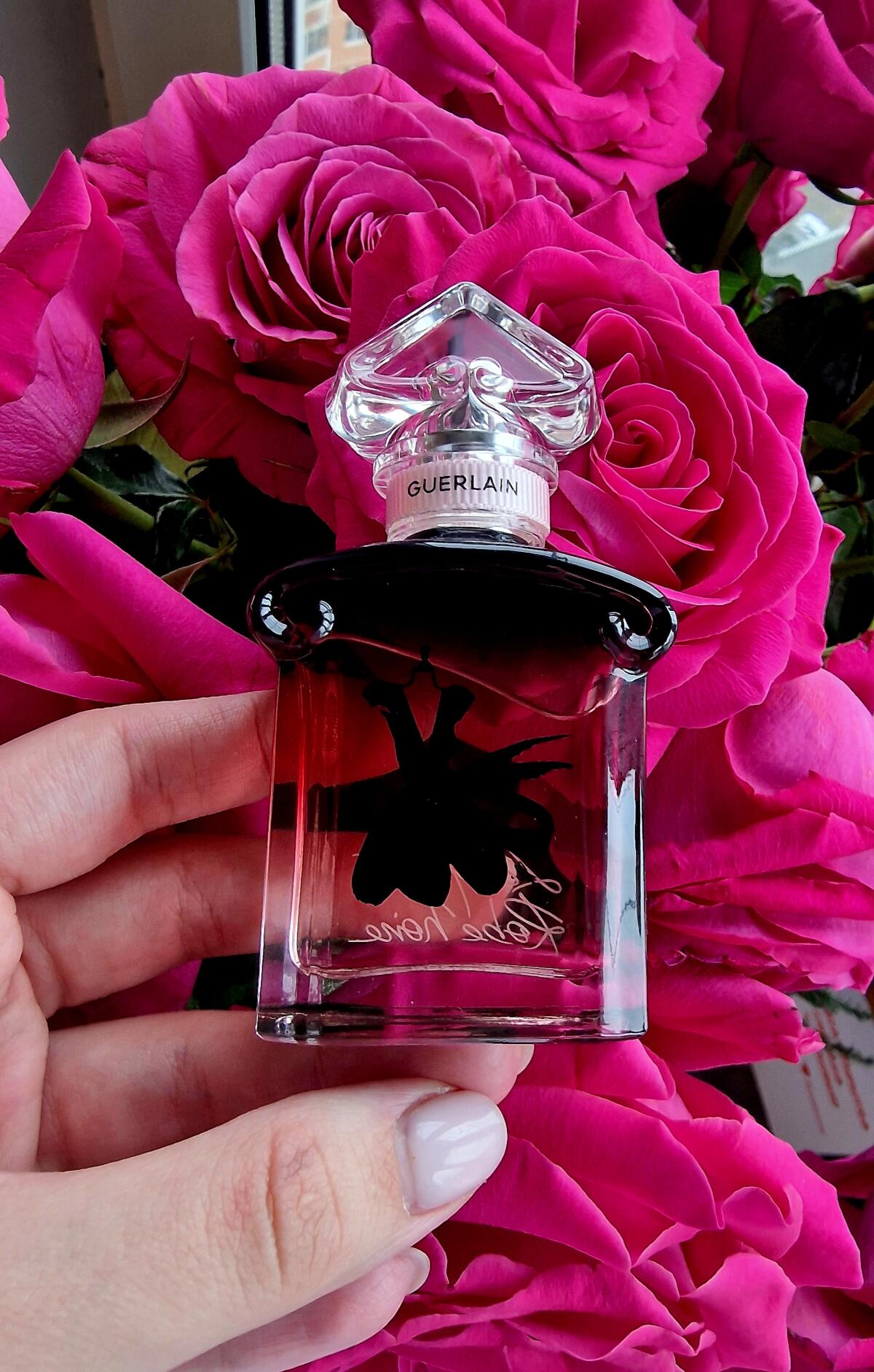 عطر ادکلن لا پوتیت روبه رژ نوآغ گرلن - La Petite Robe Rose Noire Guerlain - بررسی، قیمت و خرید