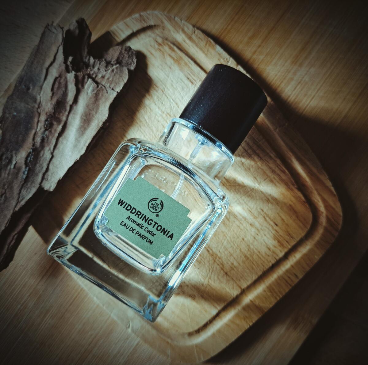 عطر ادکلن ویدرینگتونیا بادی شاپ - Widdringtonia The Body Shop - بررسی، قیمت و خرید