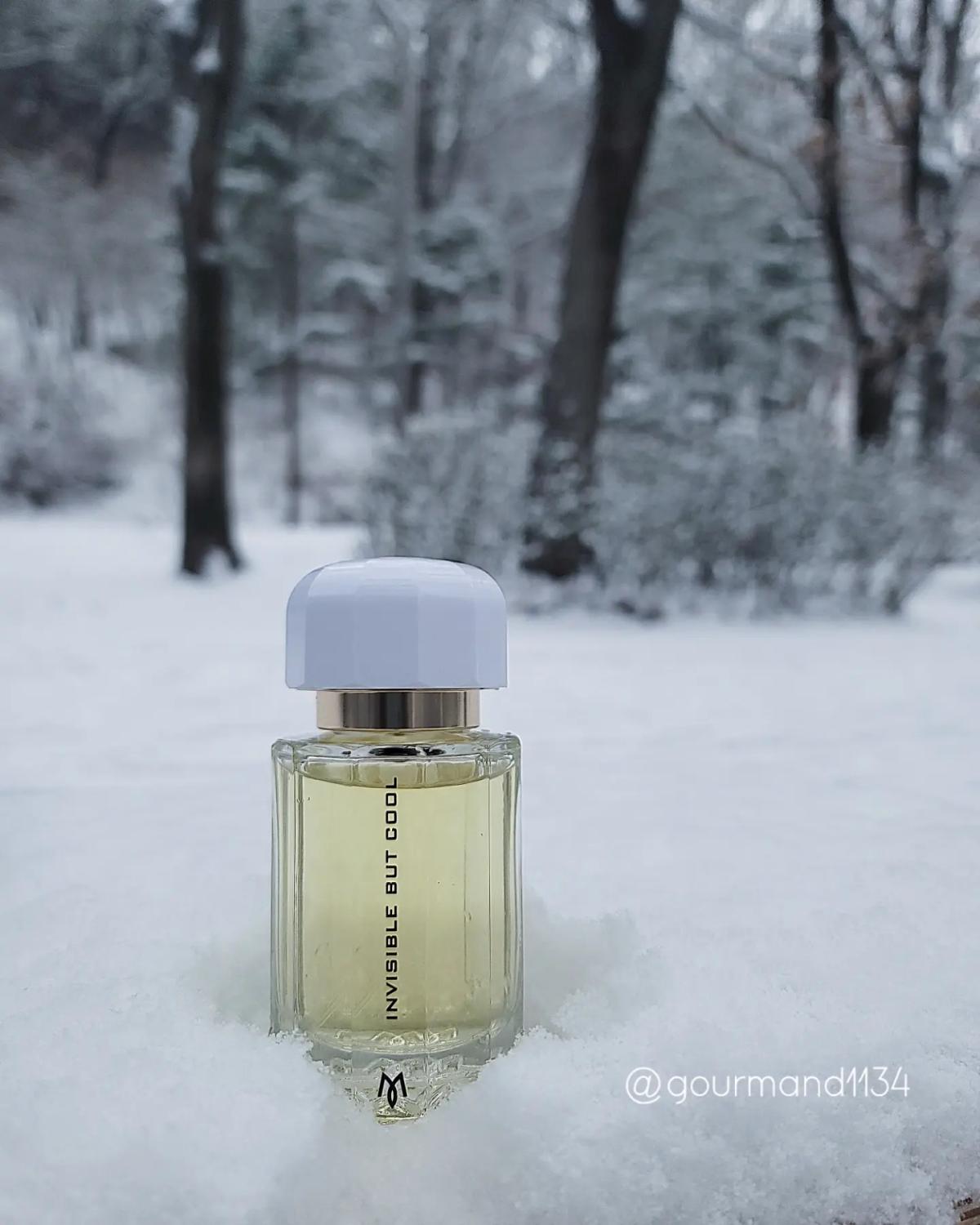 عطر ادکلن اینویزیبل بات کول رامون مونيگال - Invisible But Cool Ramon Monegal - بررسی، قیمت و خرید