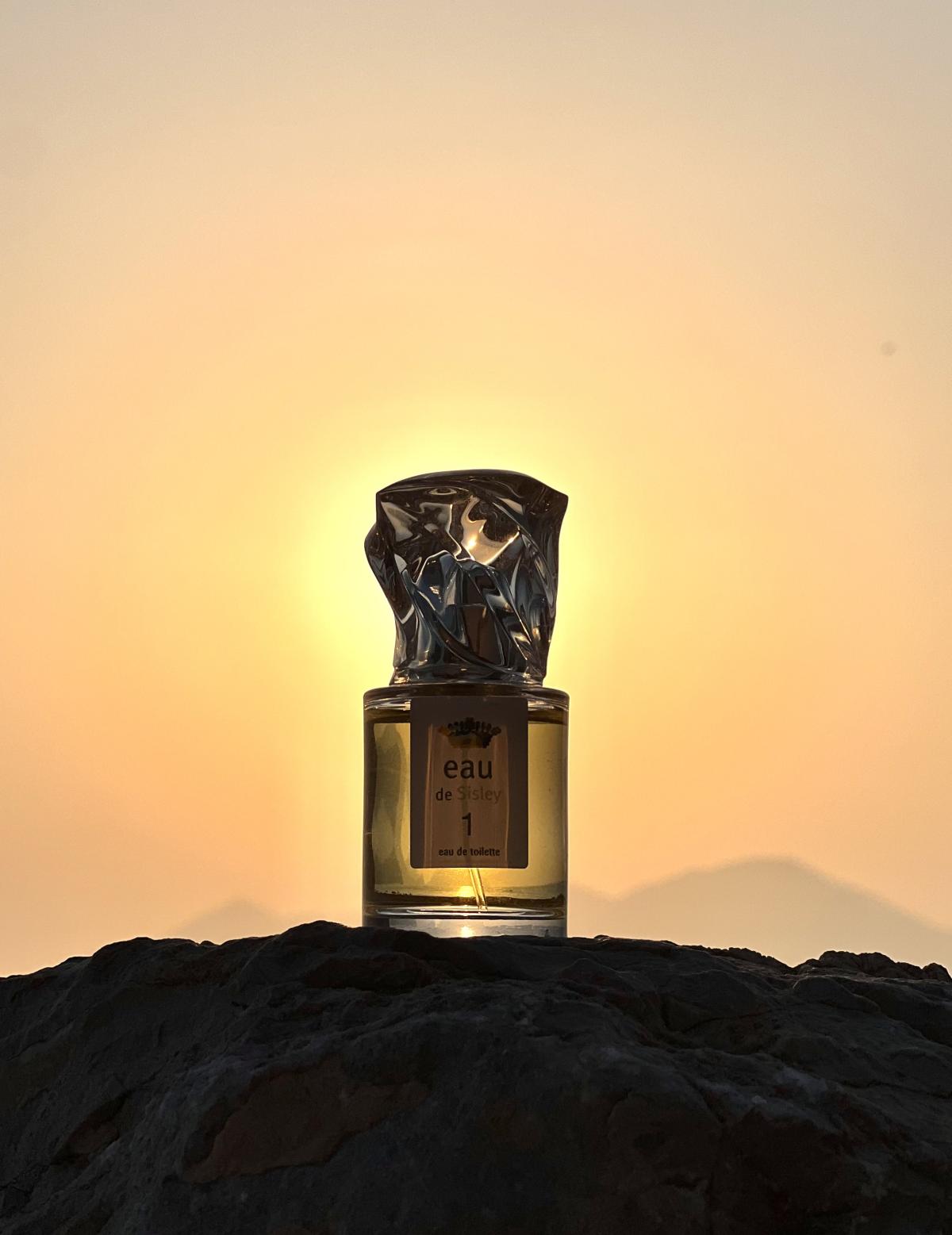 عطر ادکلن سیسلی او دو وان سیسلی - Sisley Eau de 1 Sisley - بررسی، قیمت و خرید
