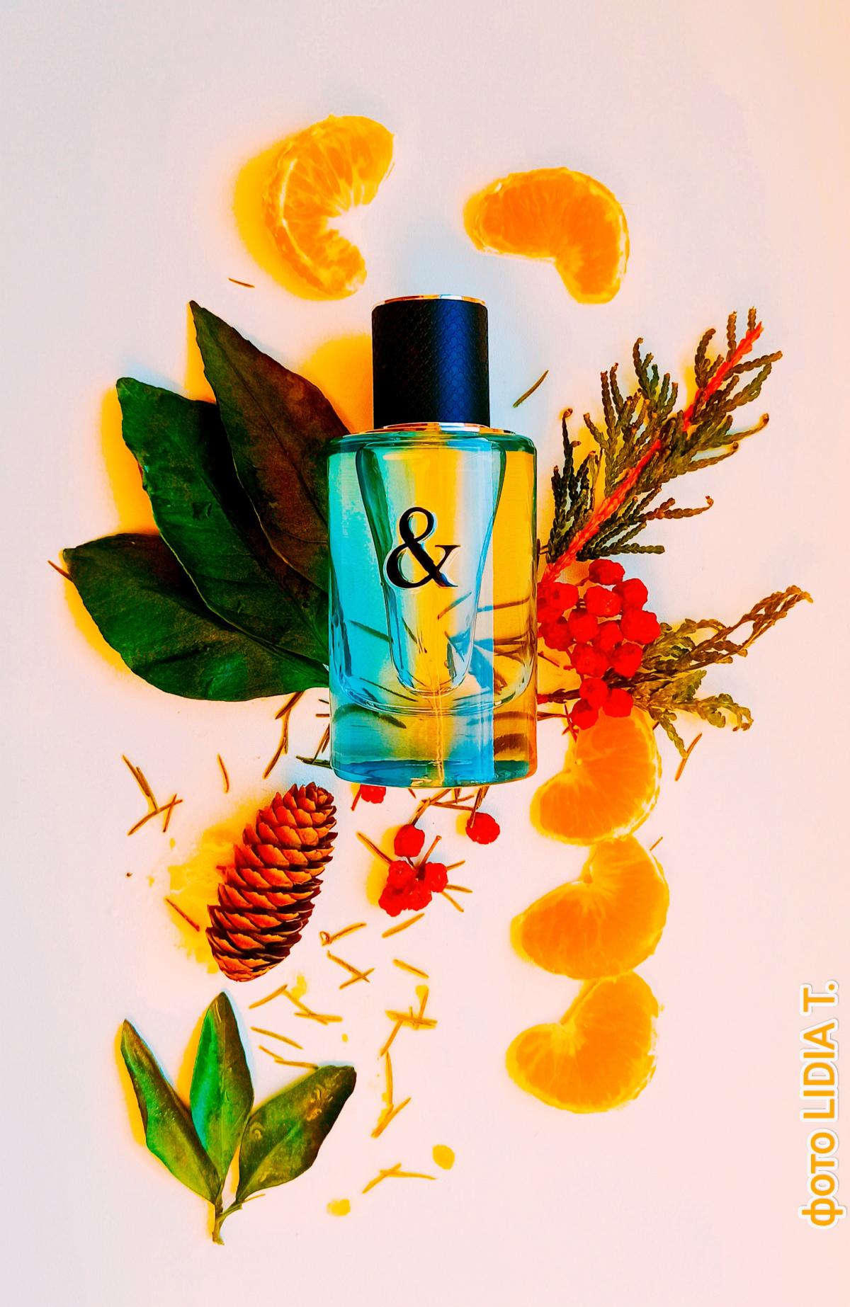 عطر ادکلن تیفانی اند لاو فور هیم تیفانی - Tiffany & Love For Him Tiffany - بررسی، قیمت و خرید