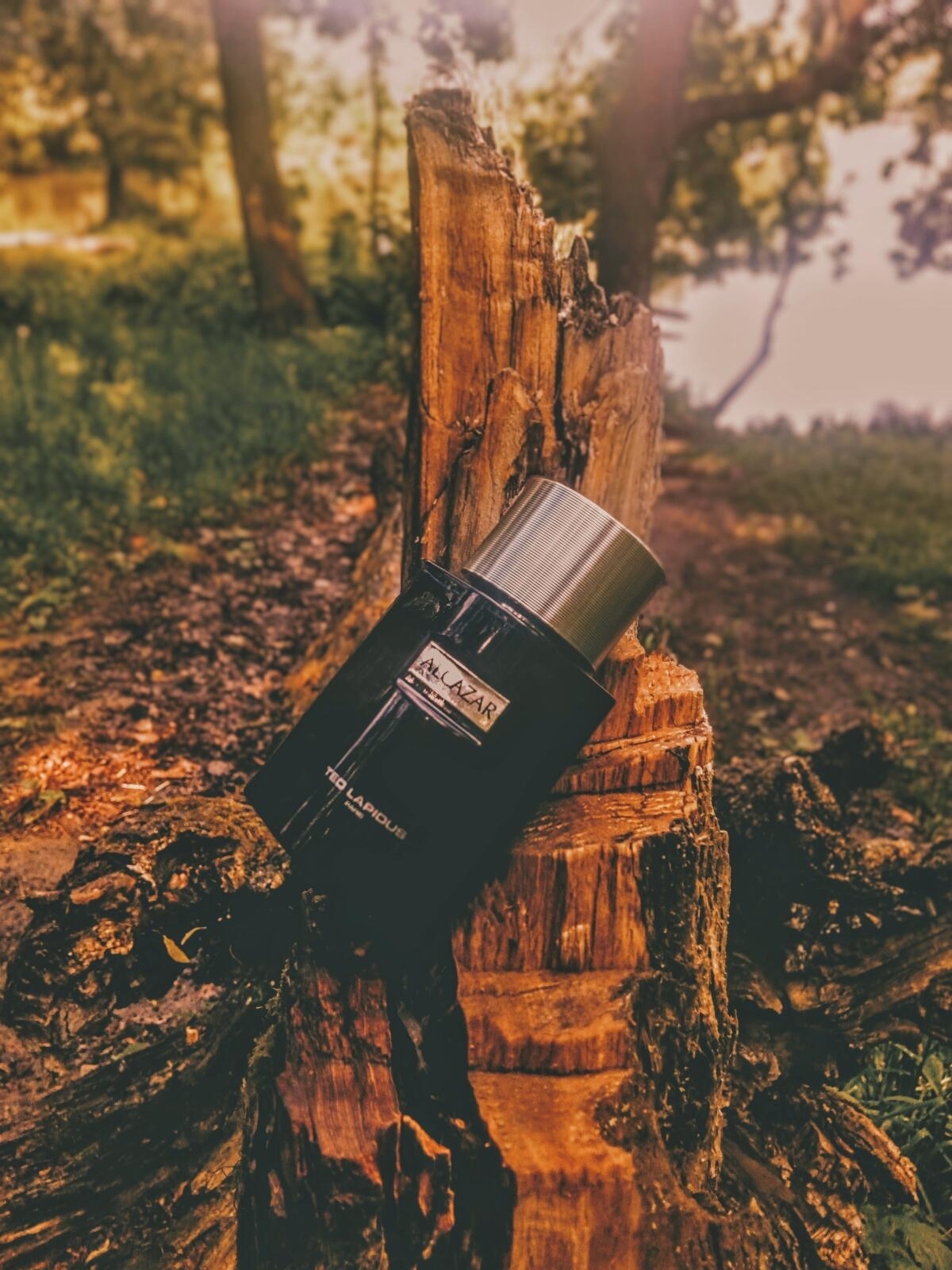 عطر ادکلن الکازار تد لاپیدوس - Alcazar Ted Lapidus - بررسی، قیمت و خرید