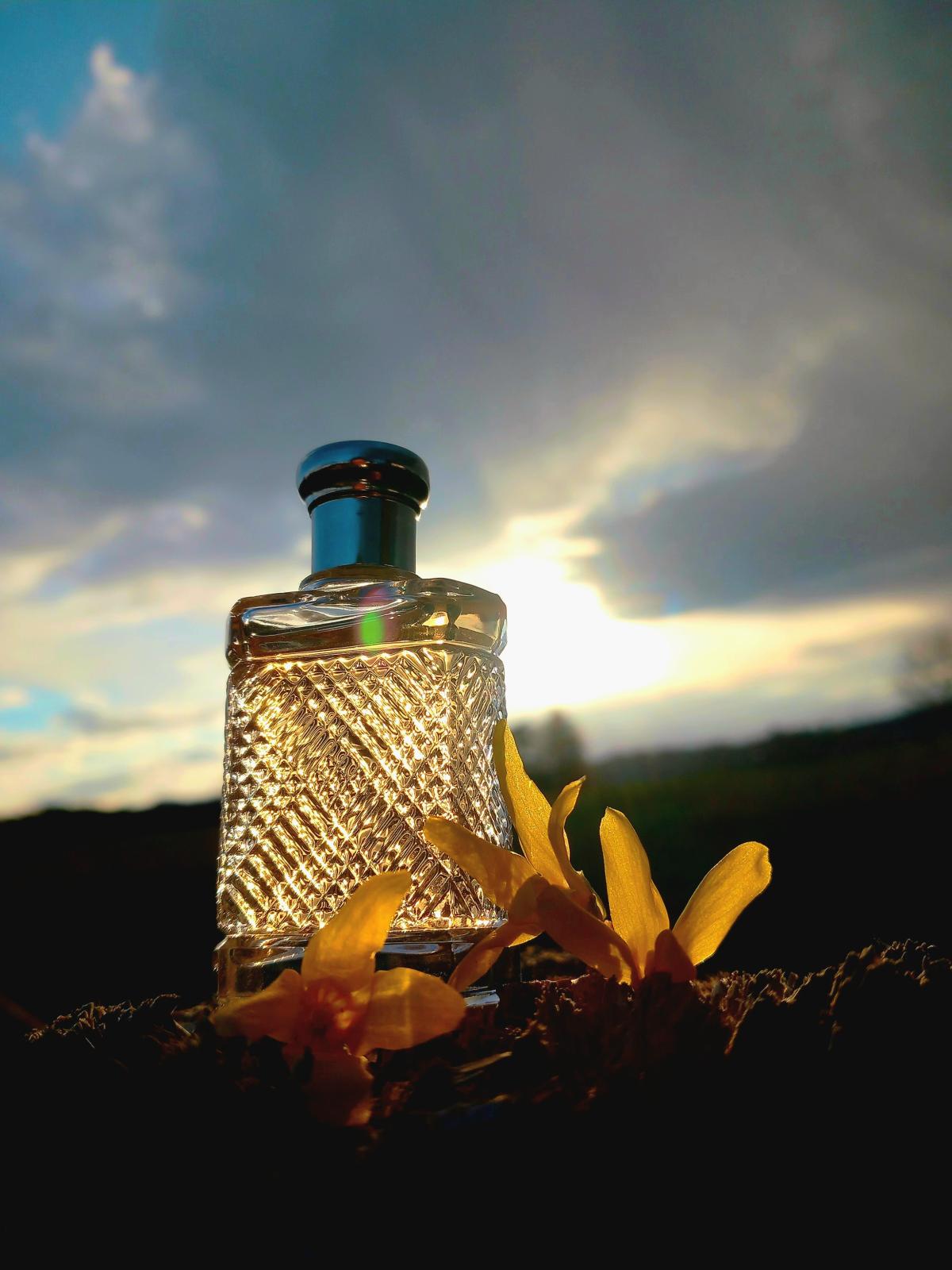 عطر ادکلن سافاری فور من رالف لورن - Safari for Men Ralph Lauren - بررسی، قیمت و خرید