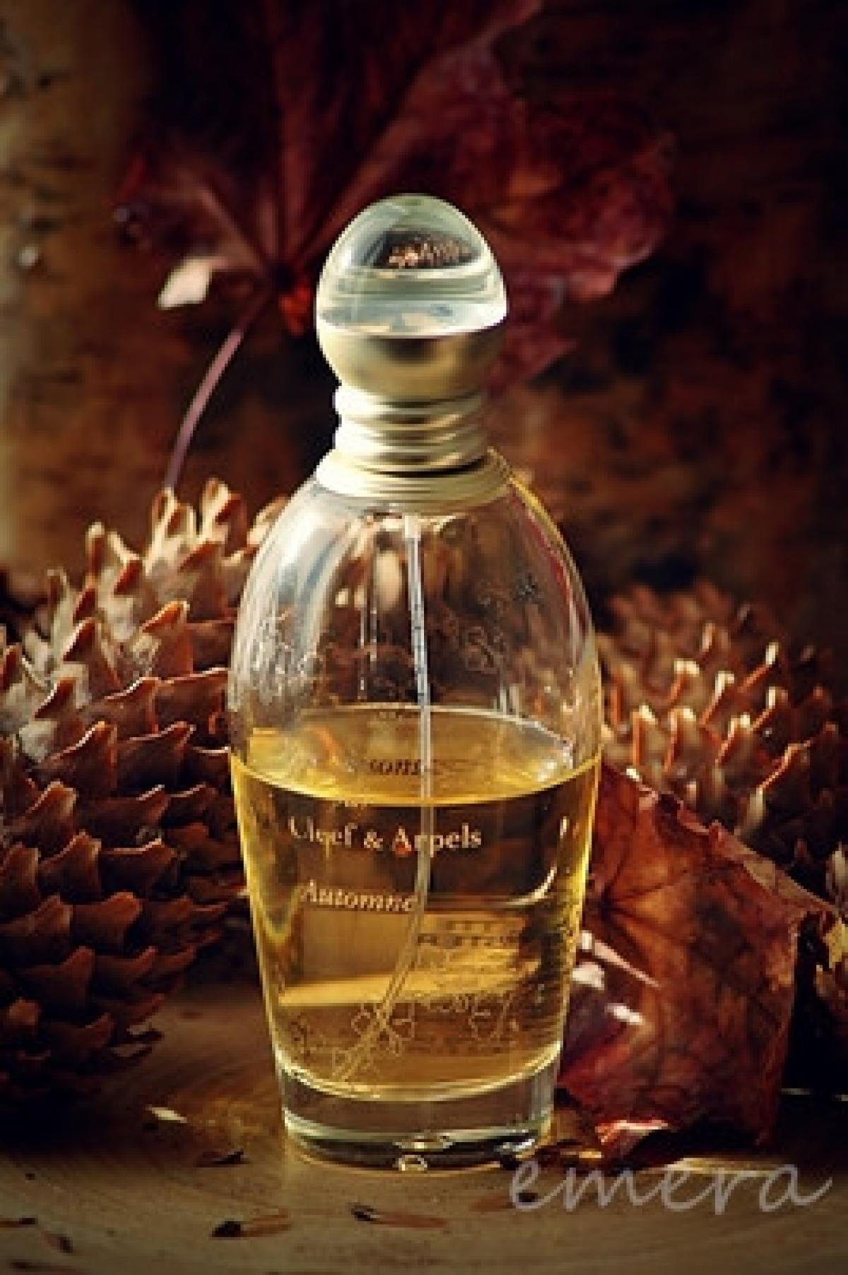 عطر ادکلن لس سزون اوتمن ون کلیف اند آرپلس - Les Saisons Automne Van Cleef & Arpels - بررسی، قیمت و خرید