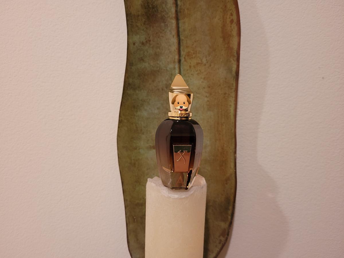 عطر ادکلن الکساندریا اورینتال زرژف - Alexandria Orientale Xerjoff - بررسی، قیمت و خرید