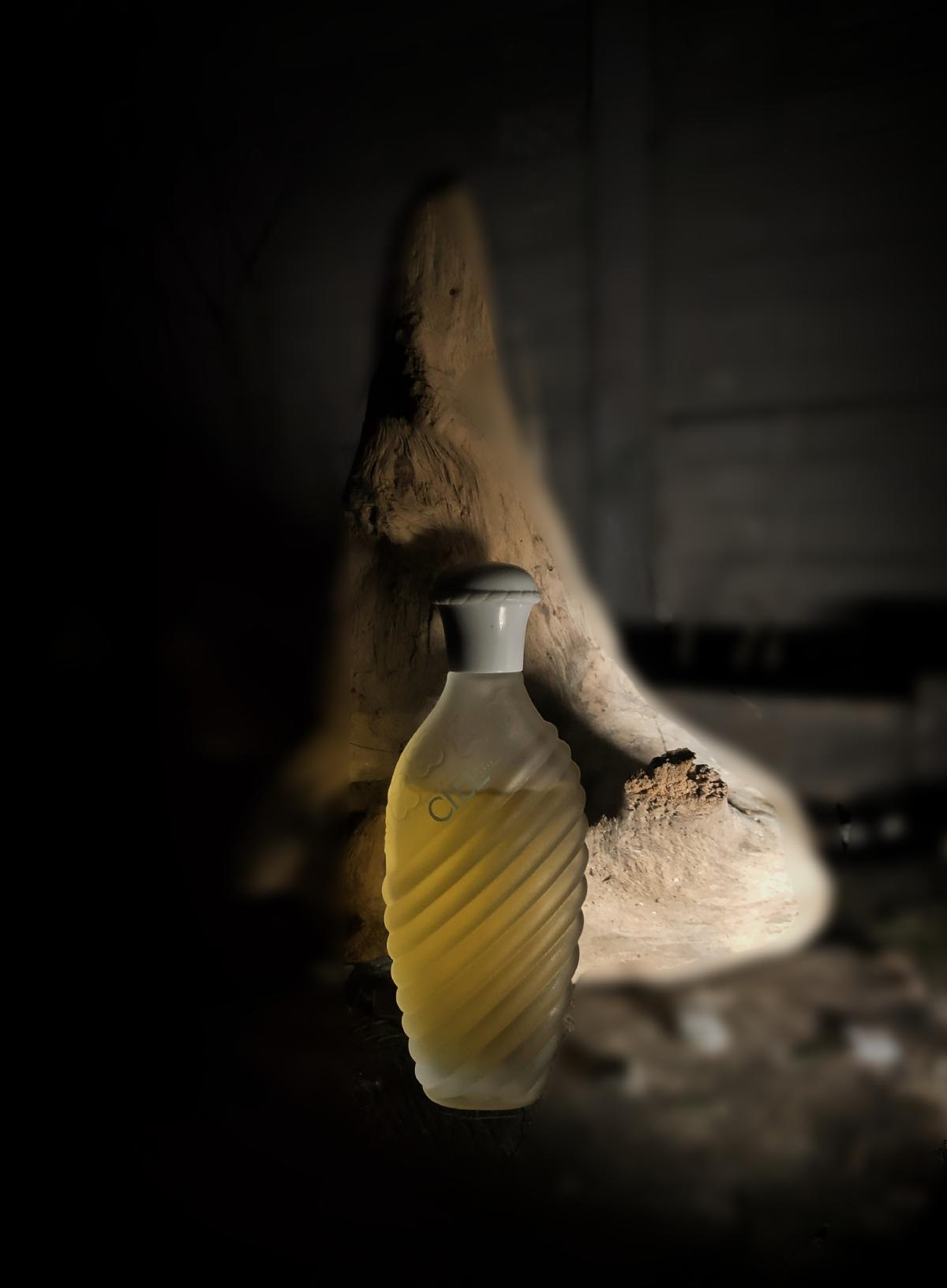 عطر ادکلن سیِل اولریک دو وارن - Ciel Ulric de Varens - بررسی، قیمت و خرید
