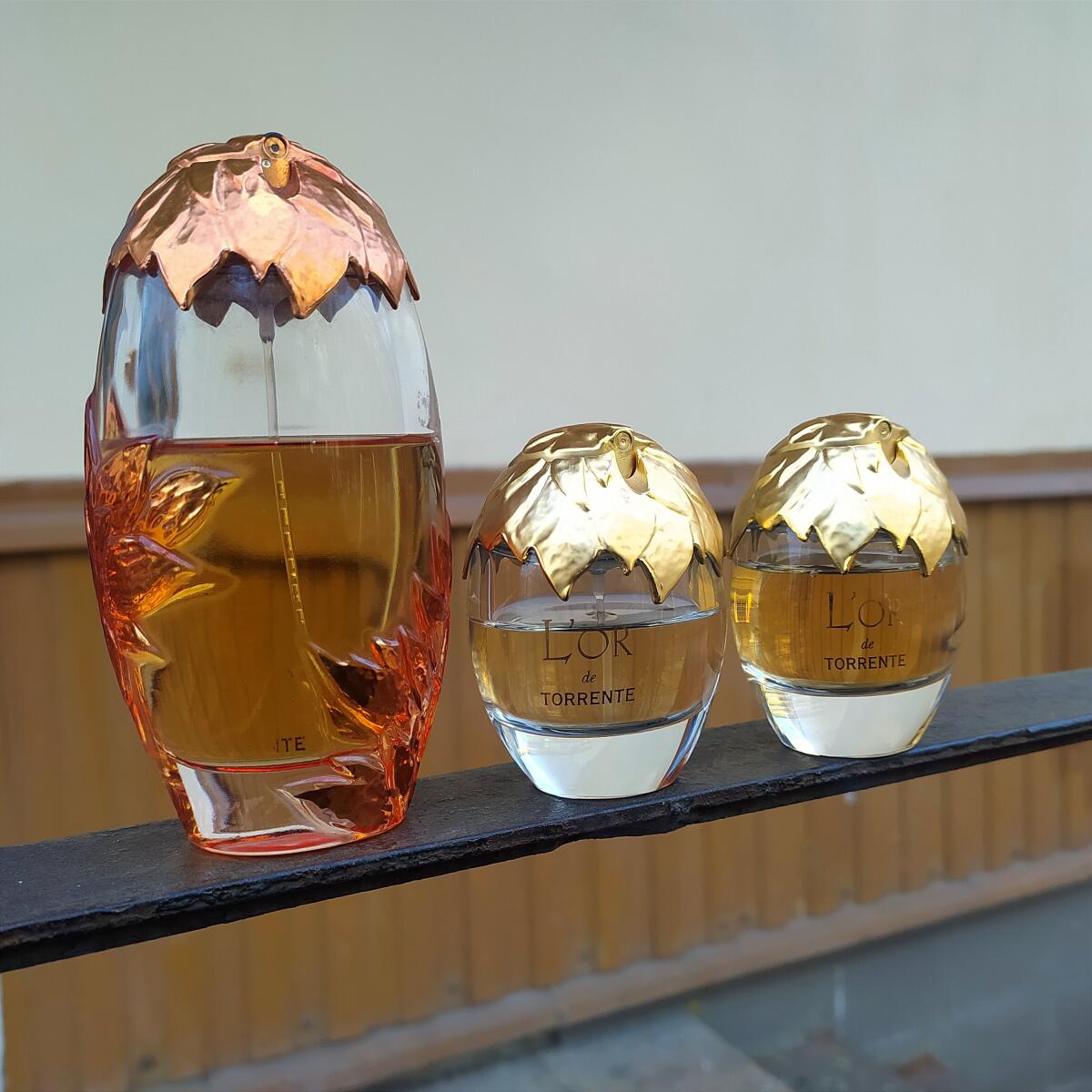 عطر ادکلن لور اینتنس تورنت - L'Or Intense Torrente - بررسی، قیمت و خرید