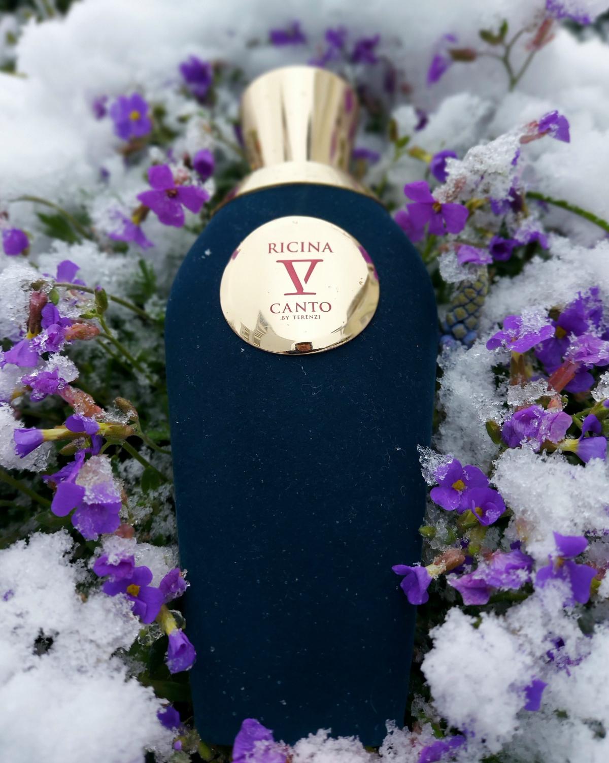 عطر ادکلن ریسینا وی کانتو - Ricina V Canto - بررسی، قیمت و خرید