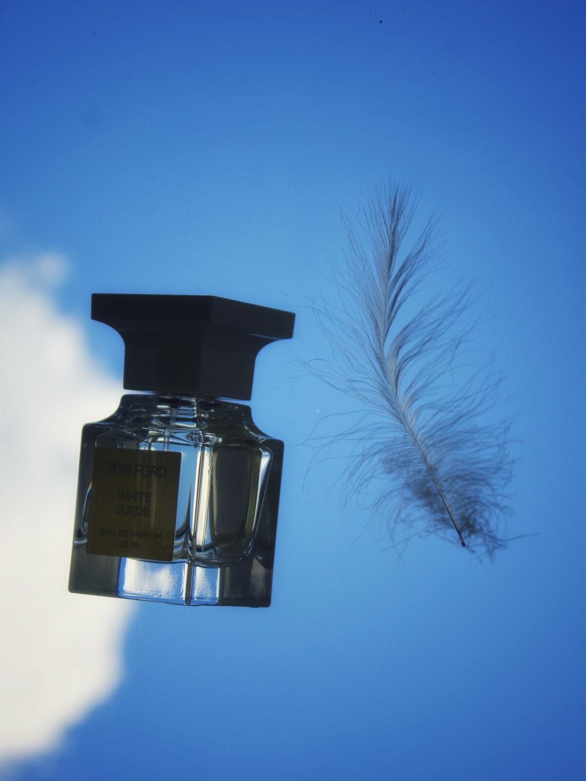 عطر ادکلن وایت سوئید تام فورد - White Suede Tom Ford - بررسی، قیمت و خرید
