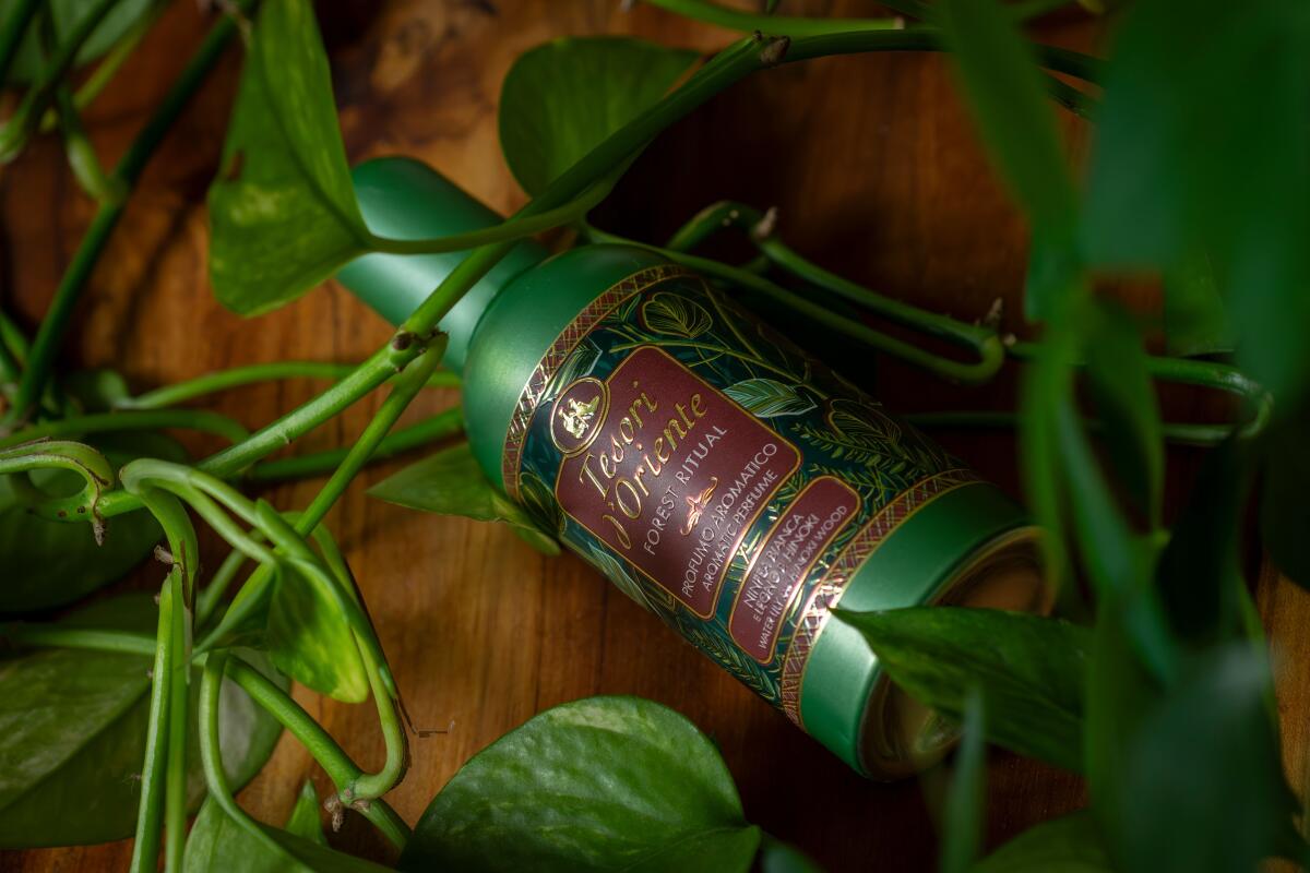 عطر ادکلن فورست ریتوال تسوری دورینته - Forest Ritual Tesori d'Oriente - بررسی، قیمت و خرید