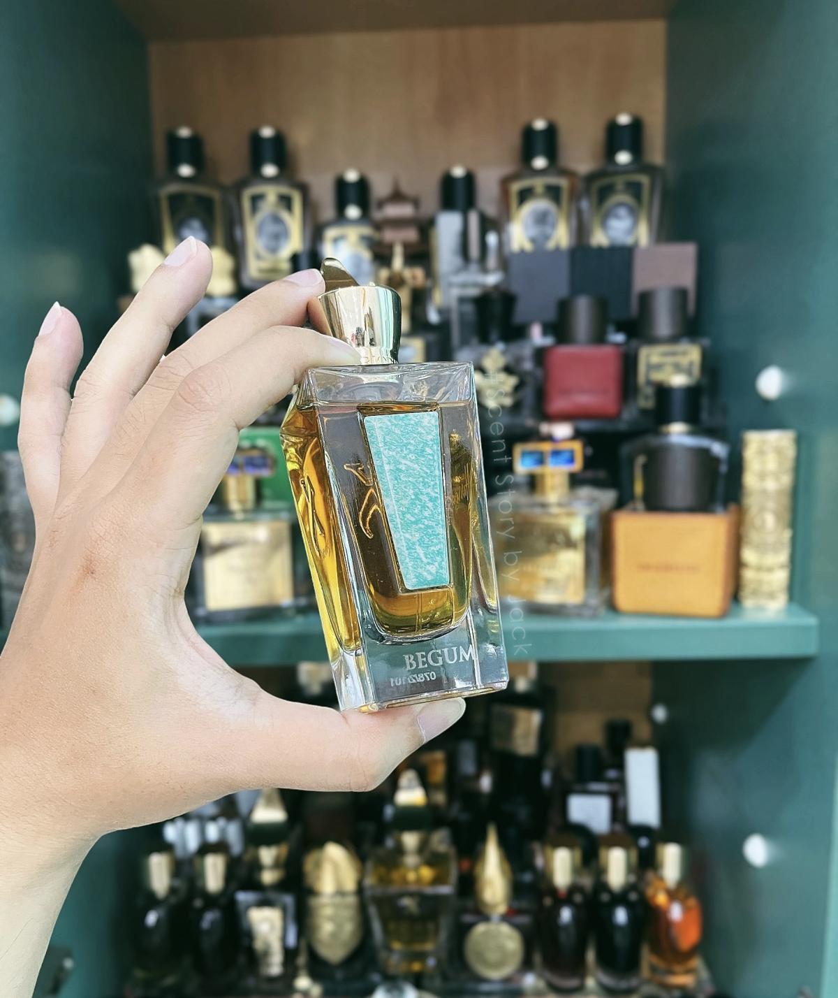 عطر ادکلن بیگم زرژف - Begum Xerjoff - بررسی، قیمت و خرید
