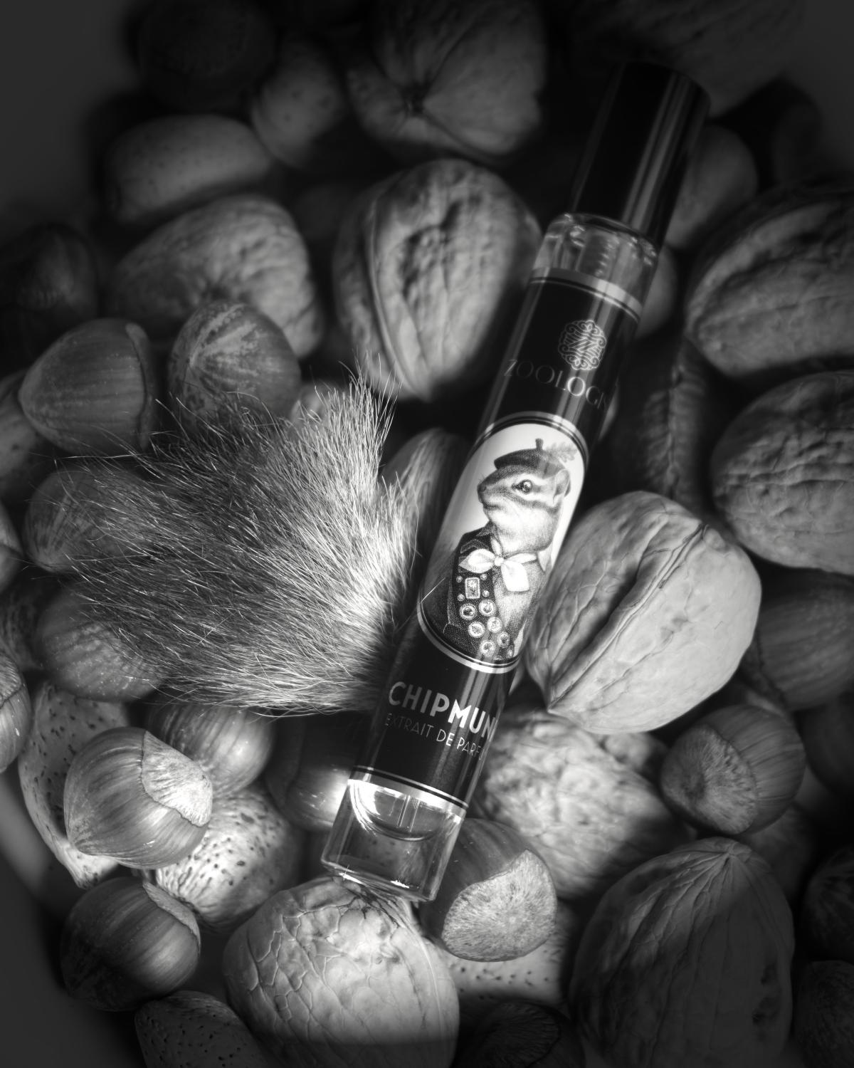 عطر ادکلن چیپمانک زئولوژیست پرفیومز - Chipmunk Zoologist Perfumes - بررسی، قیمت و خرید