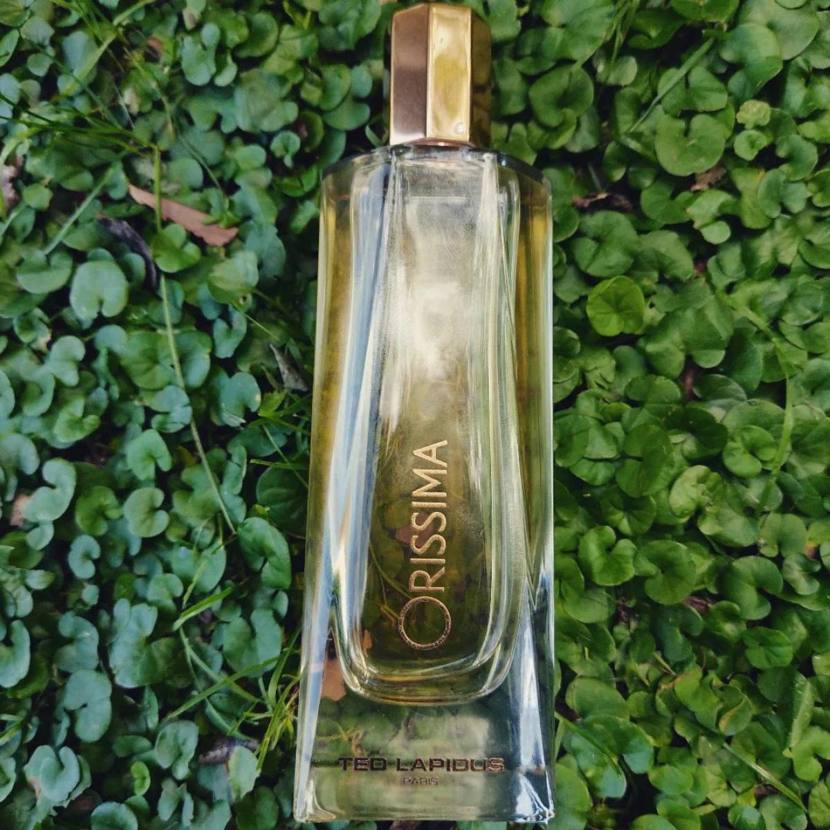 عطر ادکلن اوریسما تد لاپیدوس - Orissima Ted Lapidus - بررسی، قیمت و خرید
