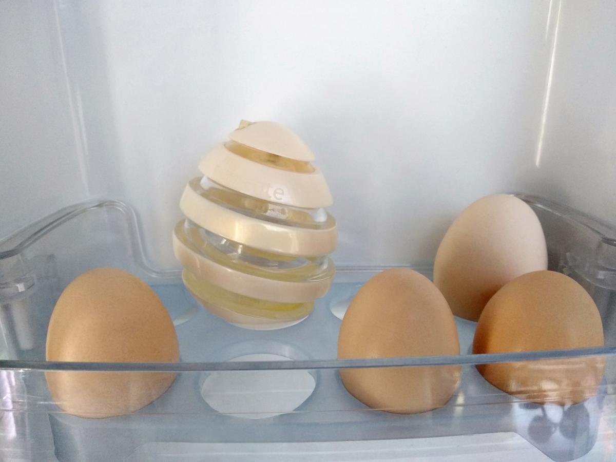 عطر ادکلن مای تورنت تورنت - My Torrente Torrente - بررسی، قیمت و خرید