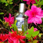 عطر ادکلن اُ دُ سِدوکتور فراگونارد - Eau de Seducteur Fragonard - بررسی، قیمت و خرید